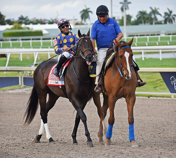 Garter and Tie at Gulfstream Park on March 30