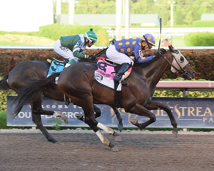 Garter and Tie wins the 2018 Affirmed Stakes