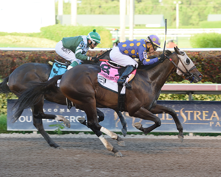 Garter and Tie wins the Affirmed Stakes