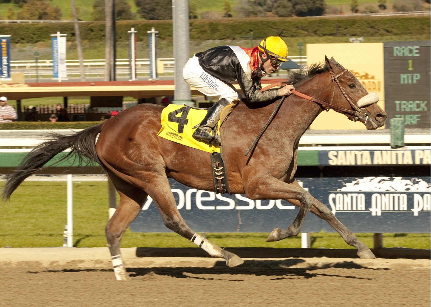 Gary Stevens on Branding