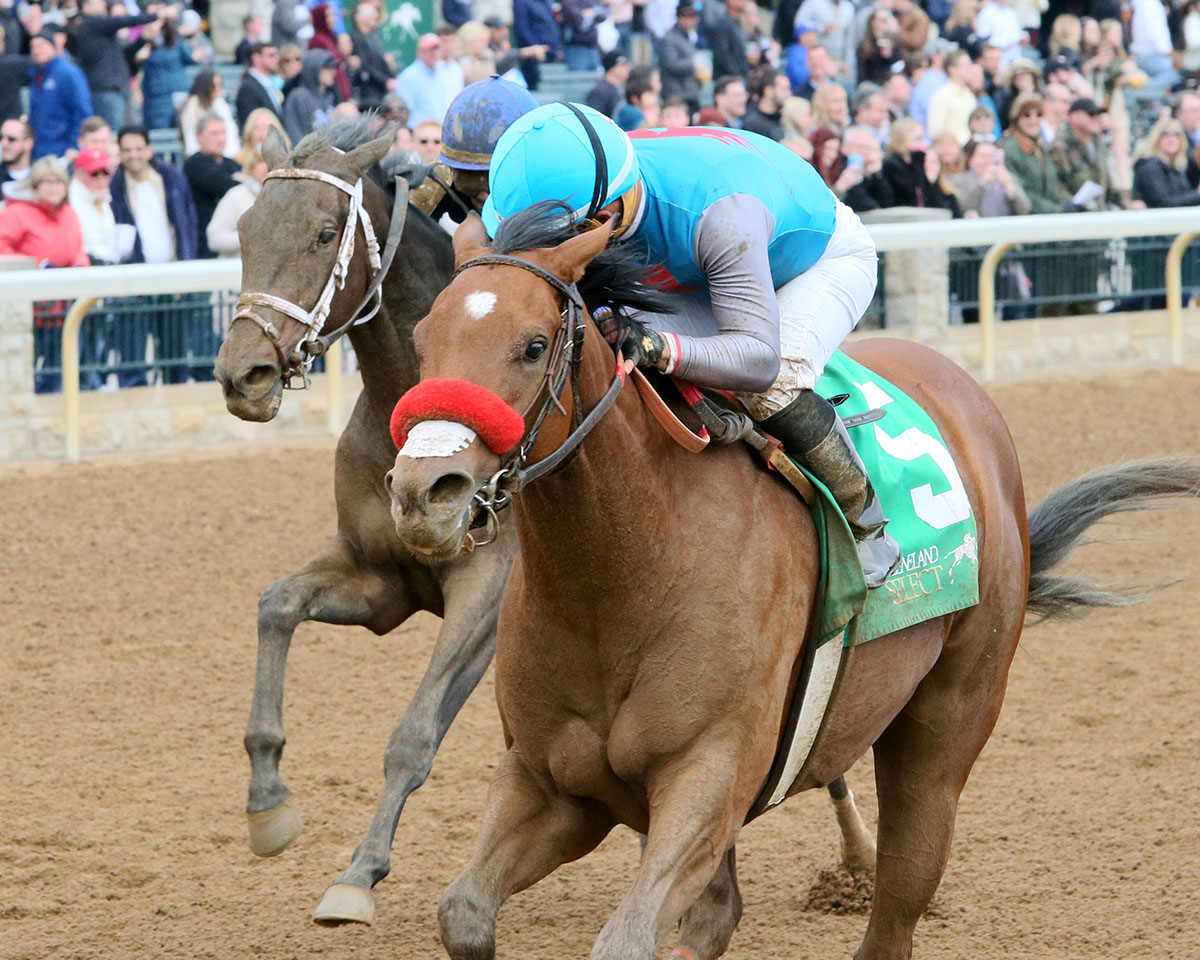 Gas Station Sushi wins the 2018 Beaumont Stakes