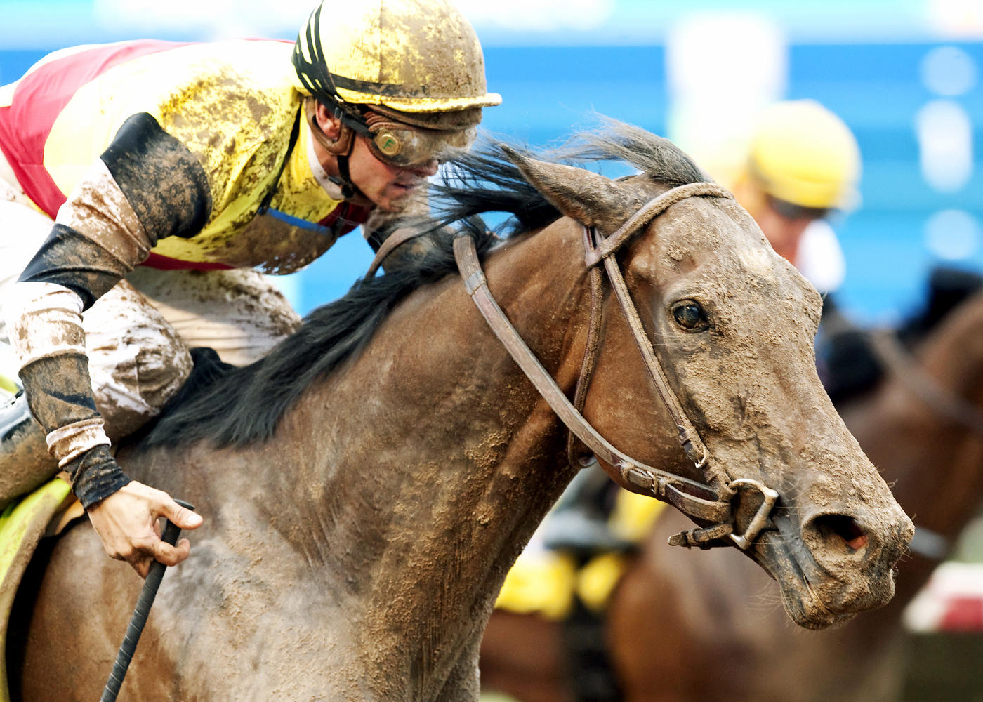 Gas Total wins the Osunitas Stakes