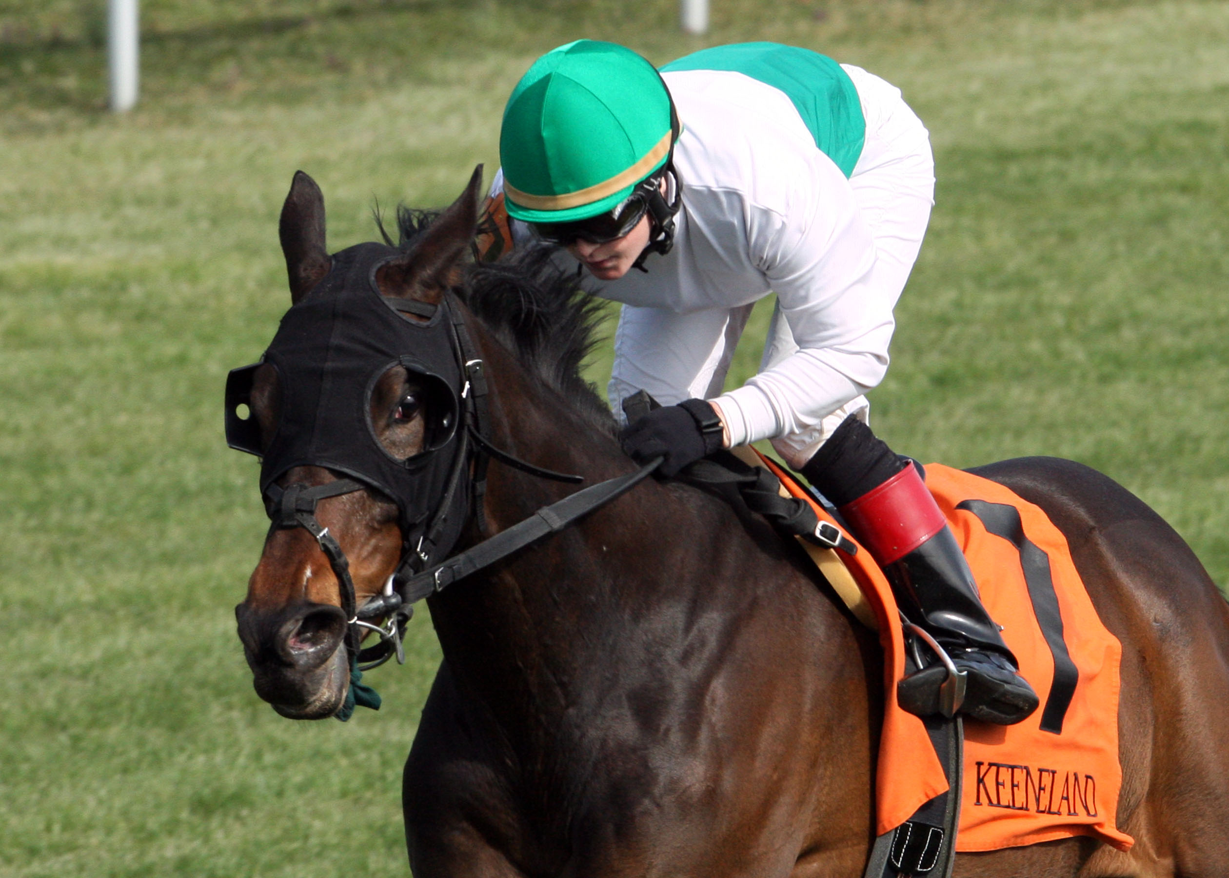 Gathering, allowance race at Santa Anita