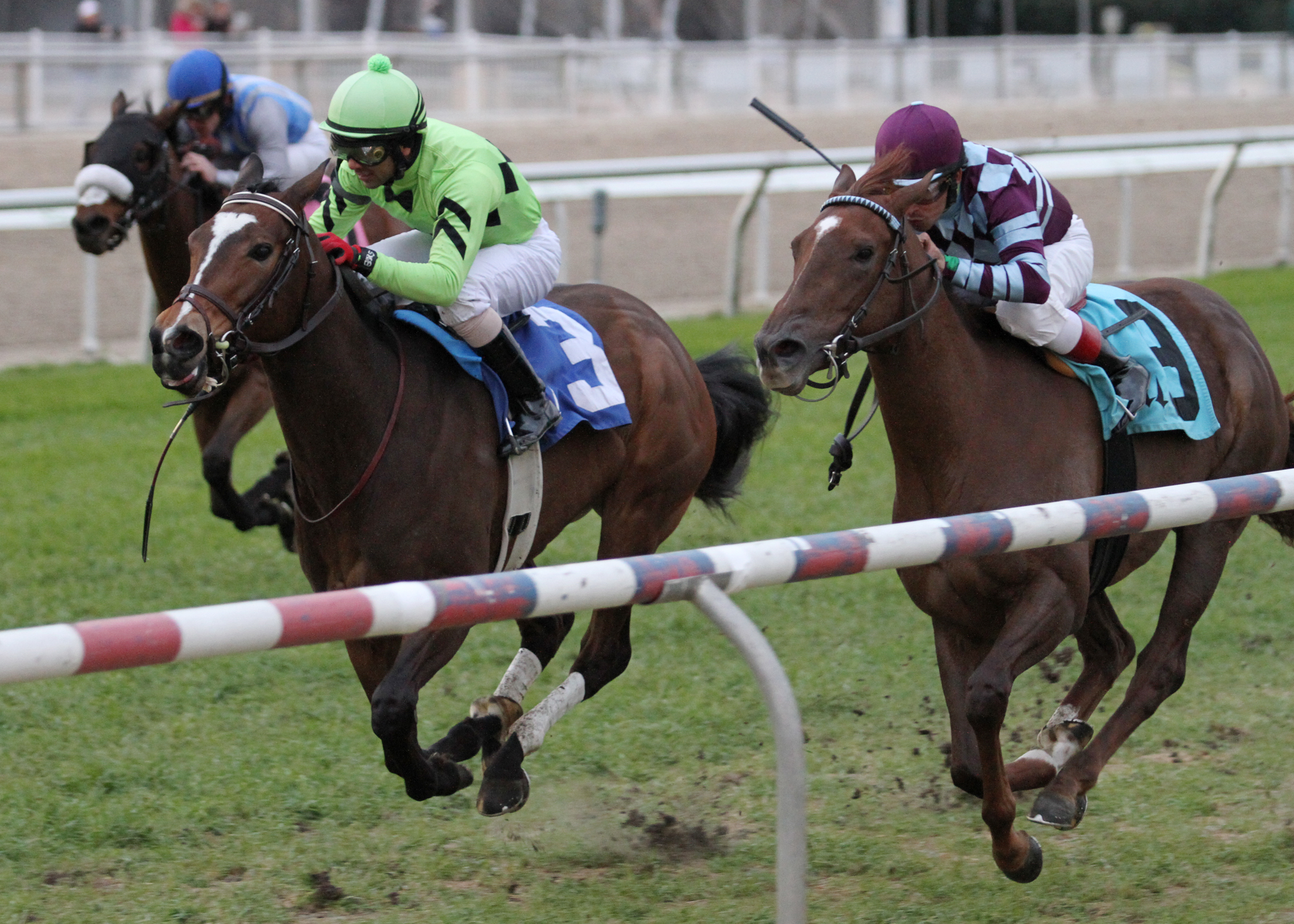Gator Zone/Allen Lacombe Stakes