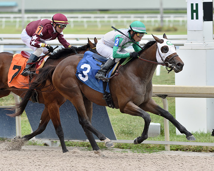Gatsby (3) wins an April 17 maiden race at Gulfstream Park