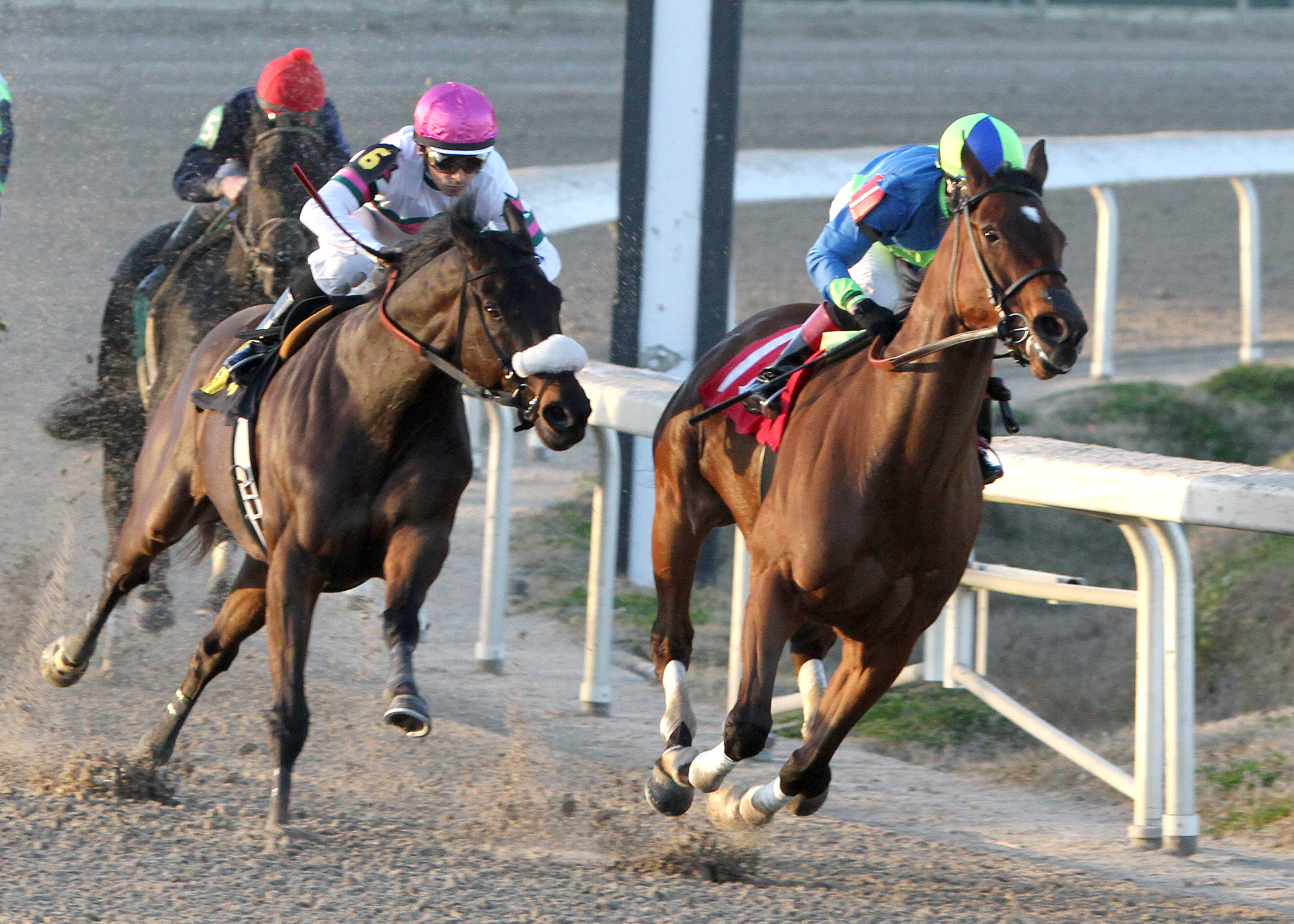 Delaunay 1-25-2014