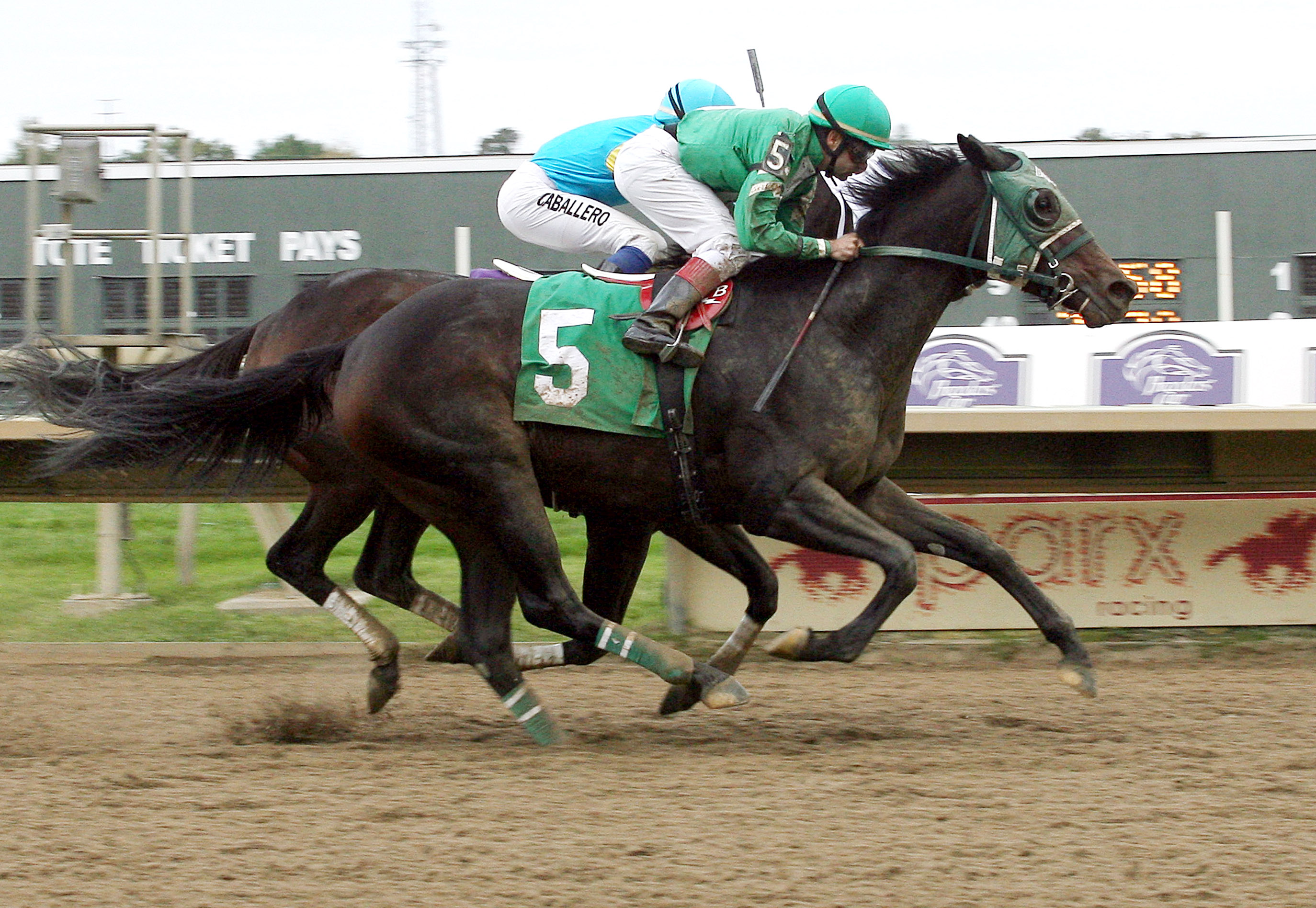 Geeky Gorgeous wins the Cornucopia Stakes