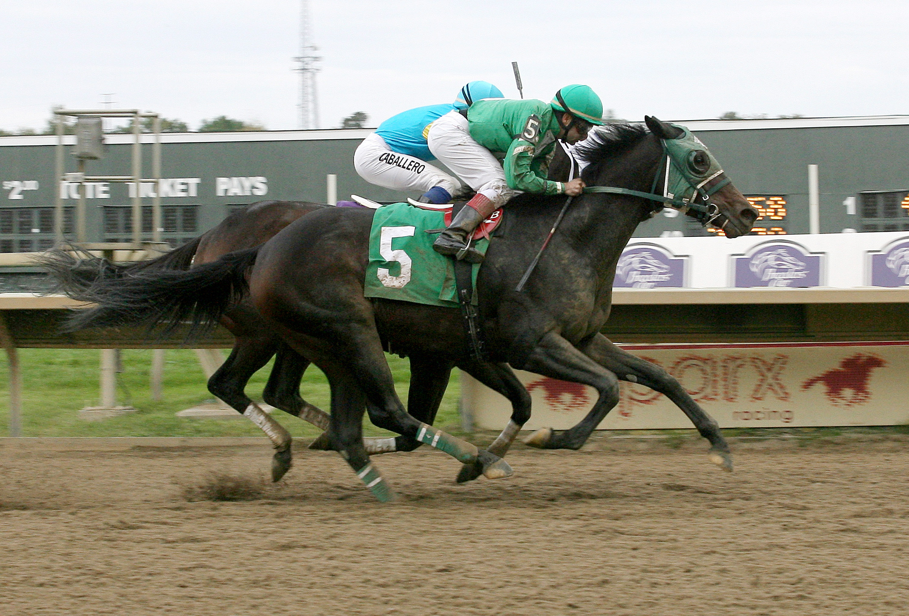 Geeky Gorgeous wins the Cornucopia Stakes