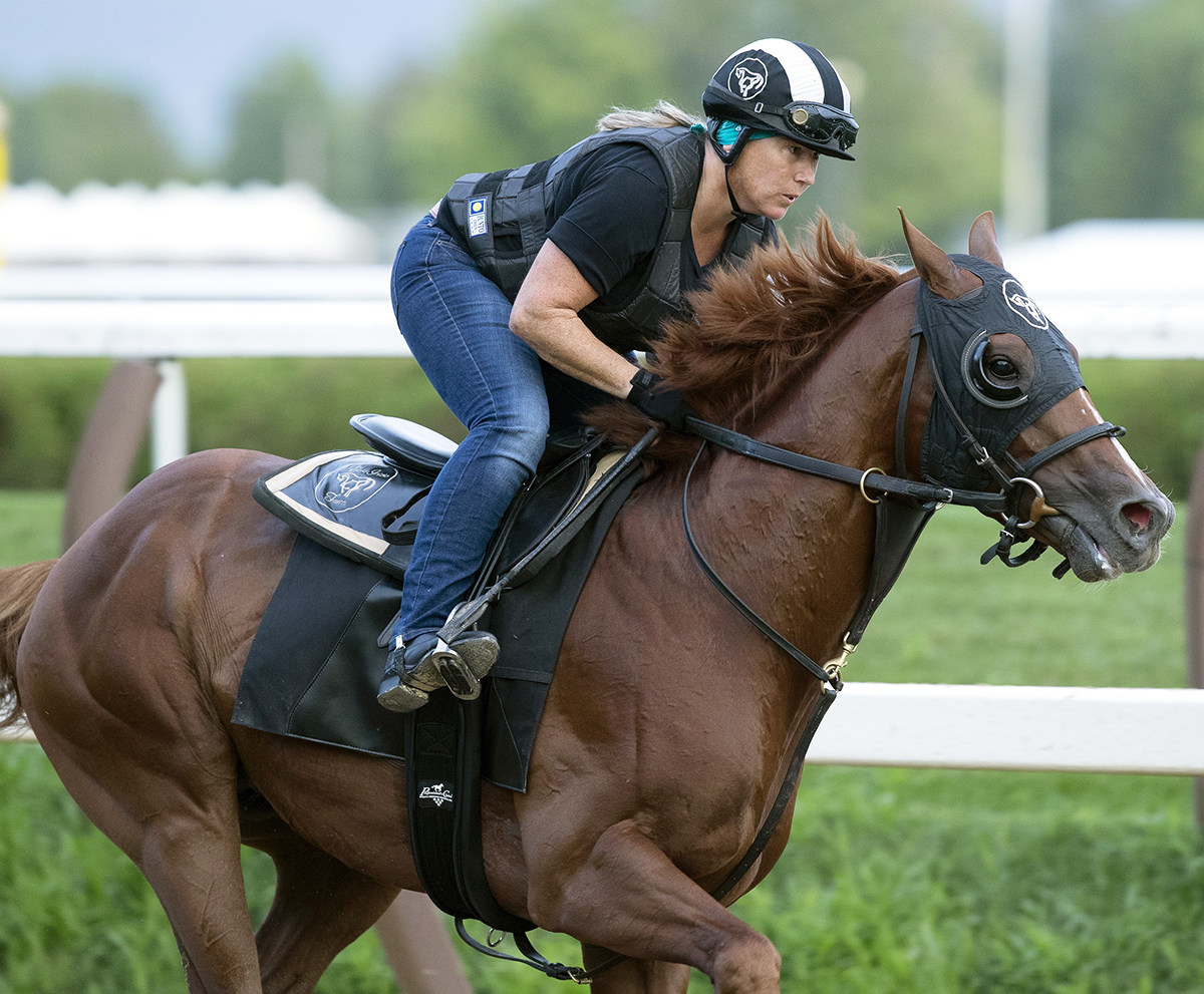 Gemonteer trains at Saratoga on July 25