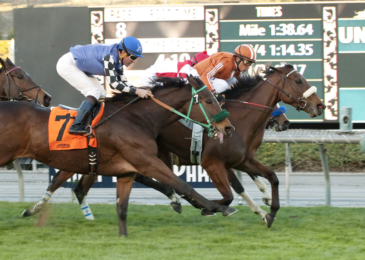 Stormy Lucy finishes second in the Frankel Stakes