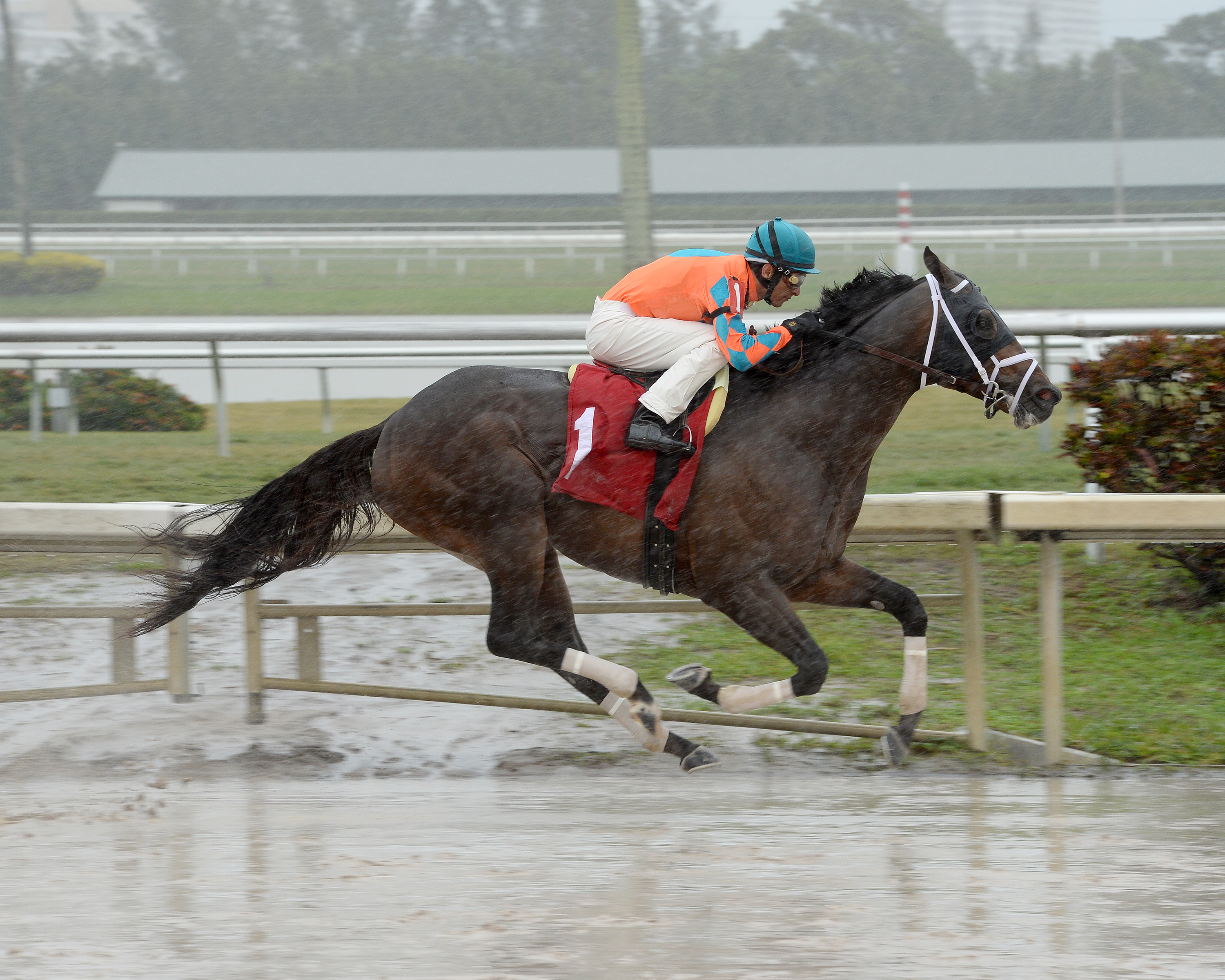 General a Rod wins an optional claiming race on Jan. 28