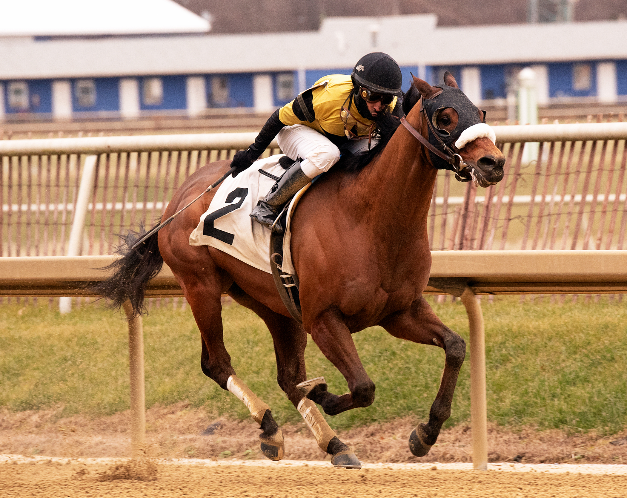 General Downs wins 2019 Native Dancer Stakes