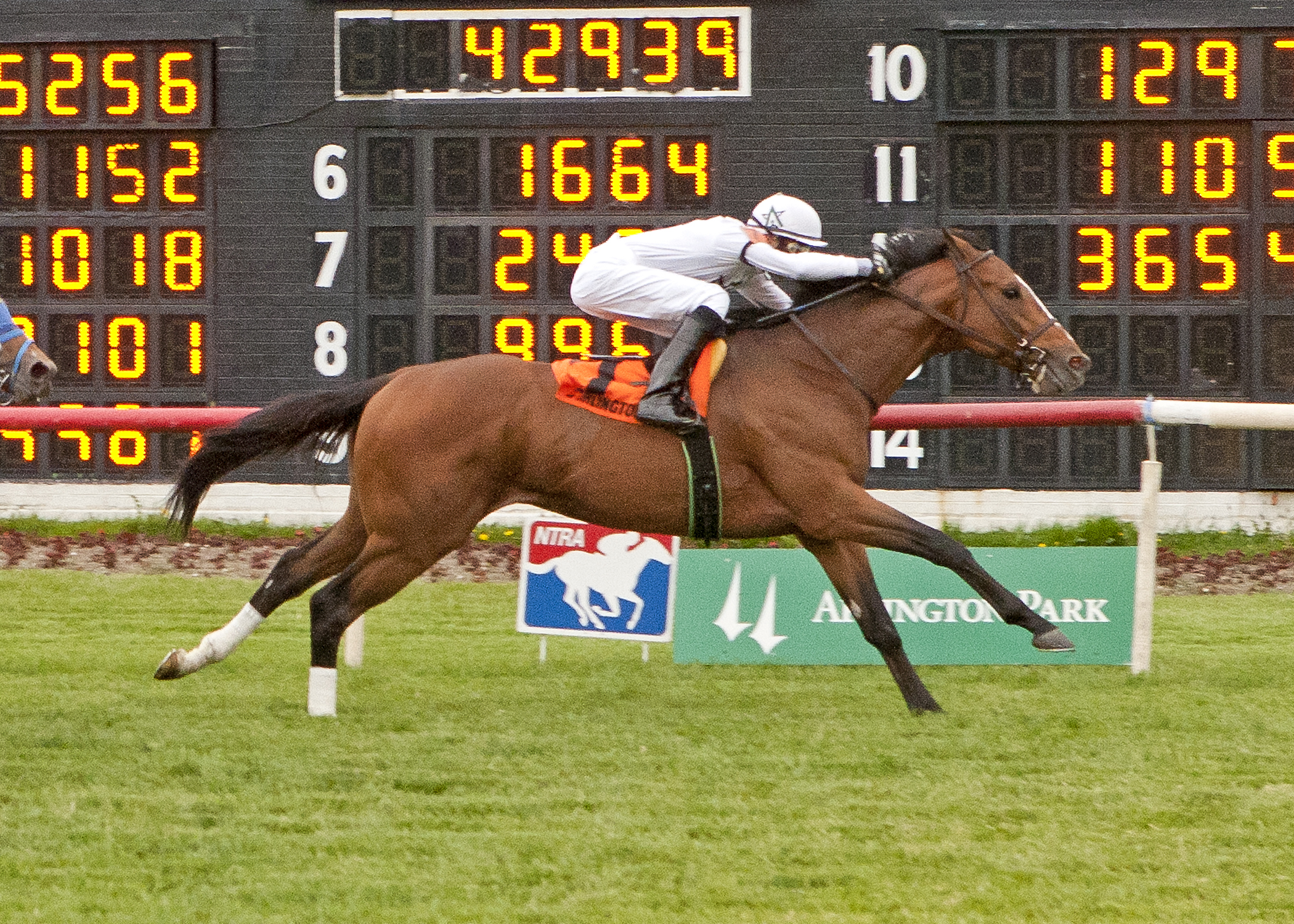 General Election, Arlington Classic