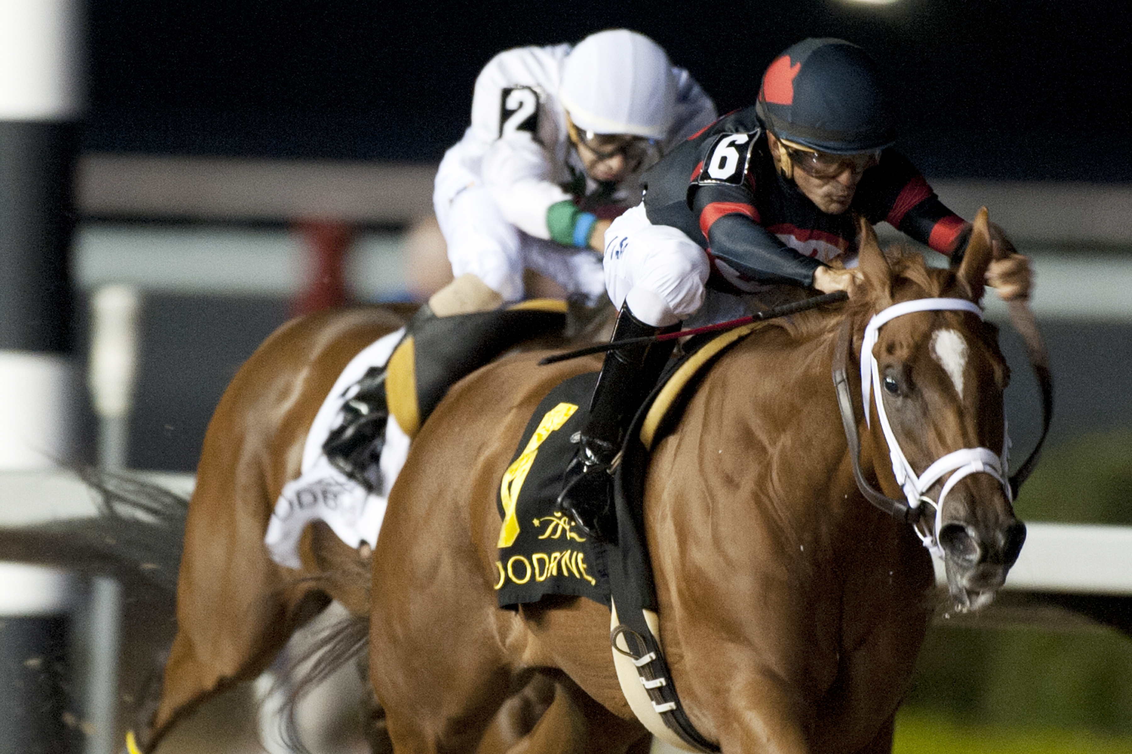 Generous Touch wins the Eternal Search Stakes