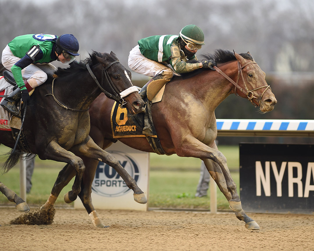 Geno wins the 2021 Great White Way at Aqueduct Racetrack