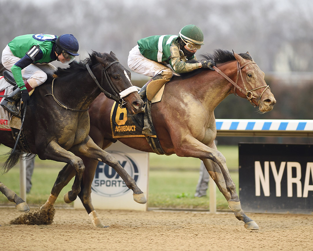Geno (right) wins the 2021 Great White Way at Aqueduct