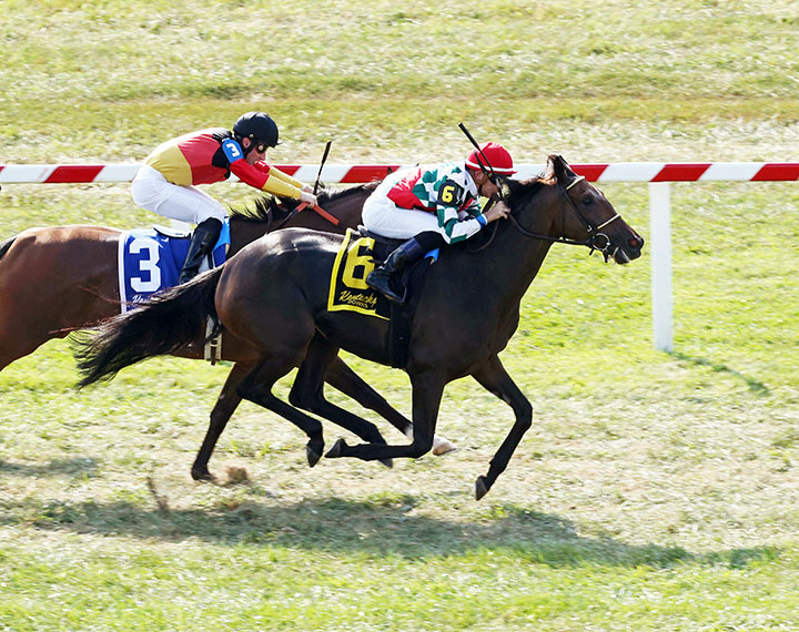 Gentle Ruler wins the 2019 Ramsey Farm Stakes at Kentucky Downs