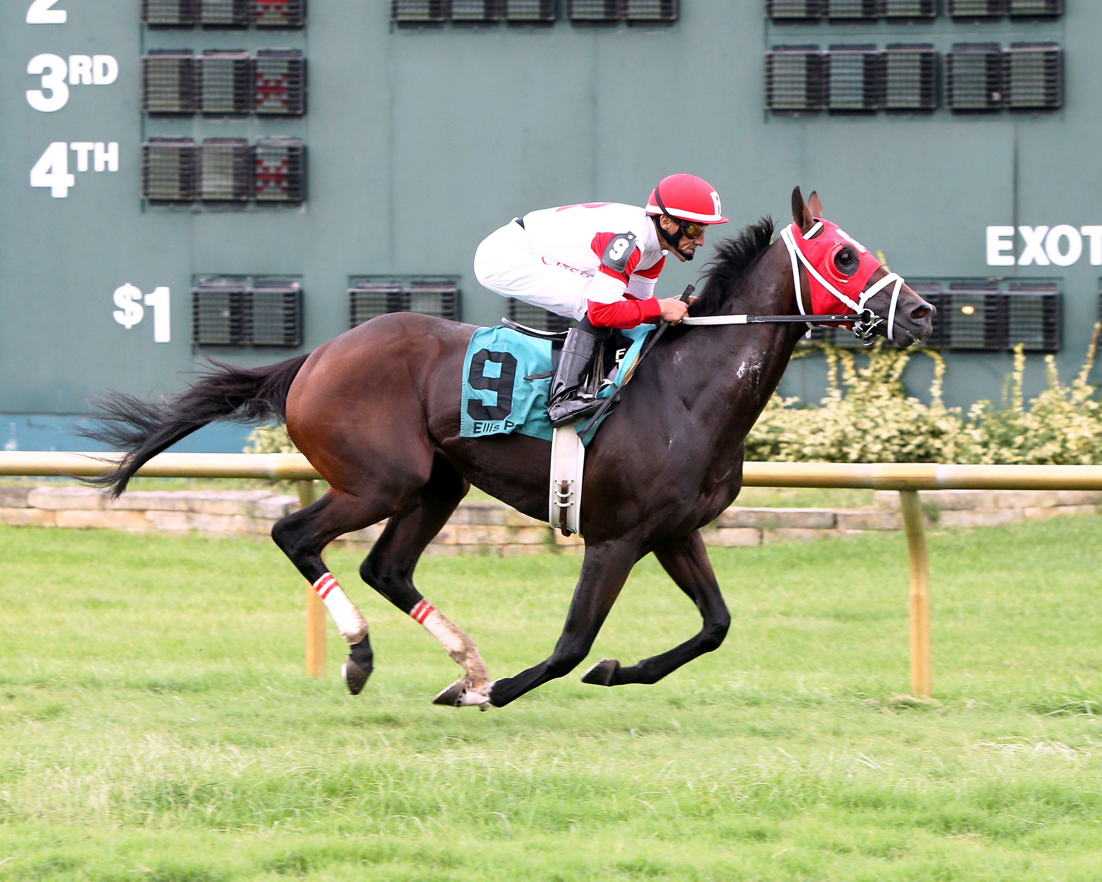 Gentleman's Kitten/Cliff Guilliams Handicap
