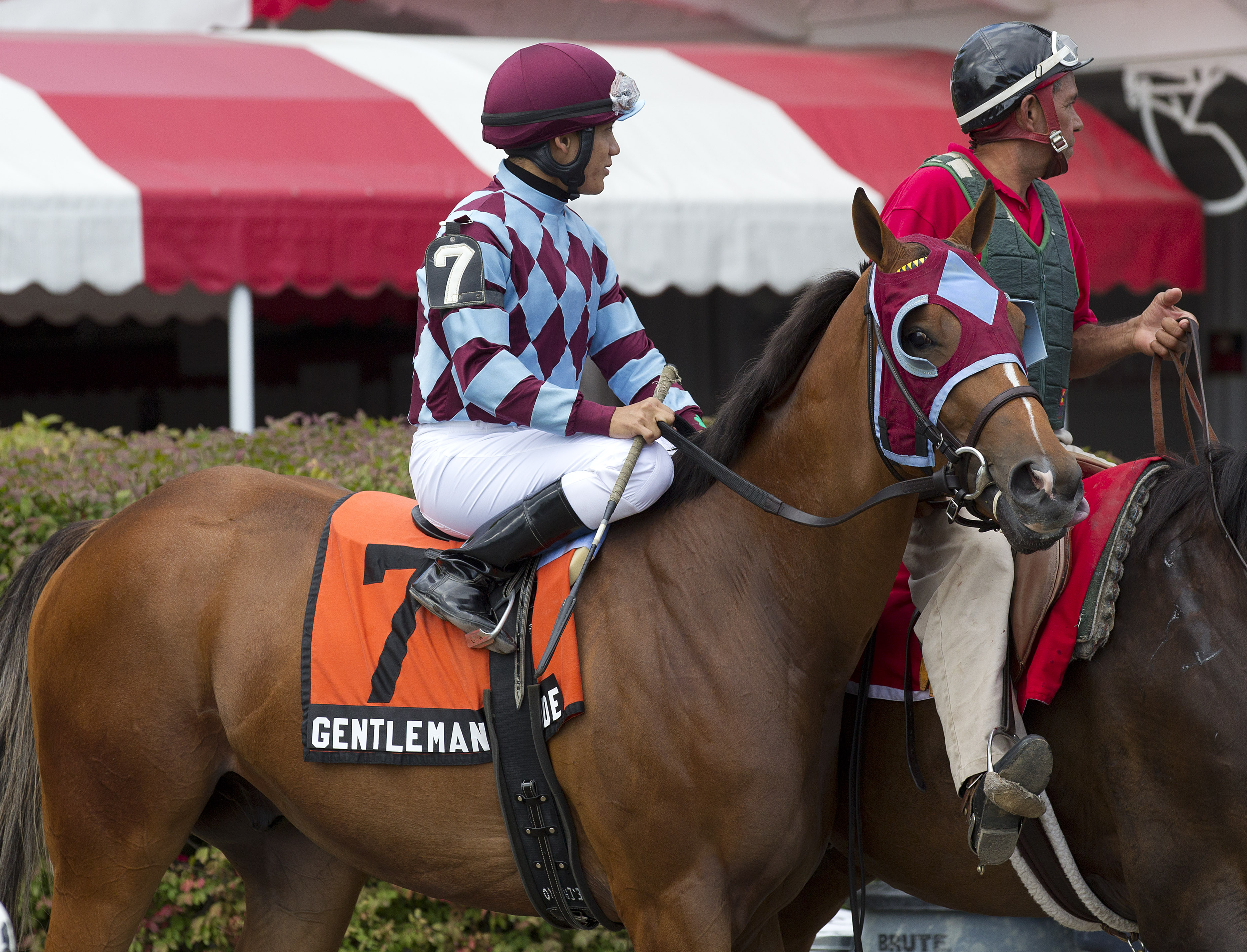 Gentlemans Code/Quick Call Stakes