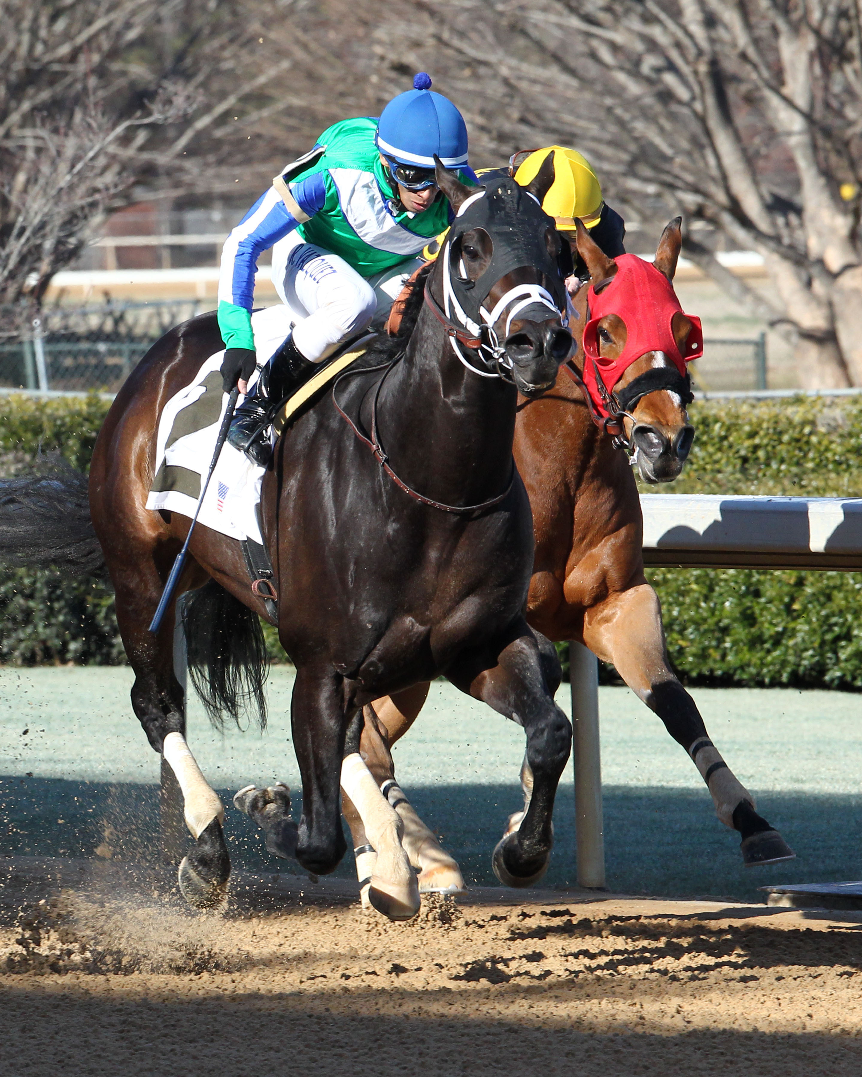 Gentlemen's Bet wins the Hot Springs