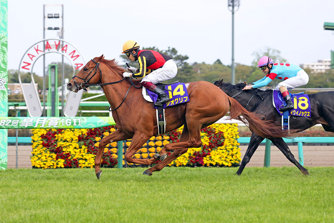 Geoglyph wins the 2022 Japanese 2000 Guineas at Nakayama