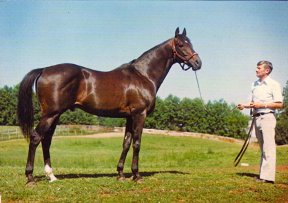 Bobby Hall with George Royal