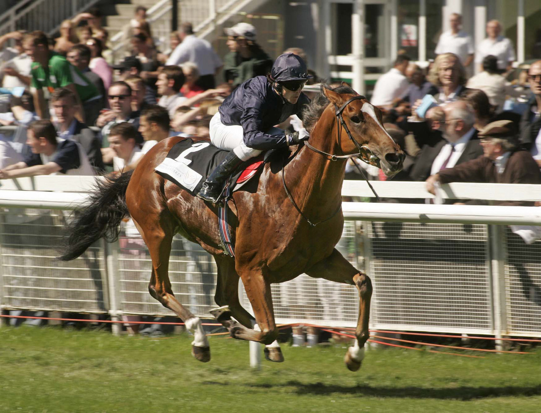 Year-round employment: Many horses have returned to training after standing at stud