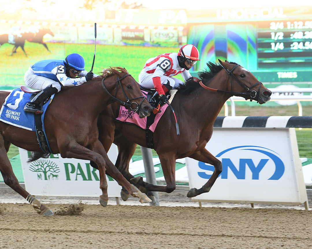 Gerrymander wins the 2021 Tempted Stakes at Belmont Park