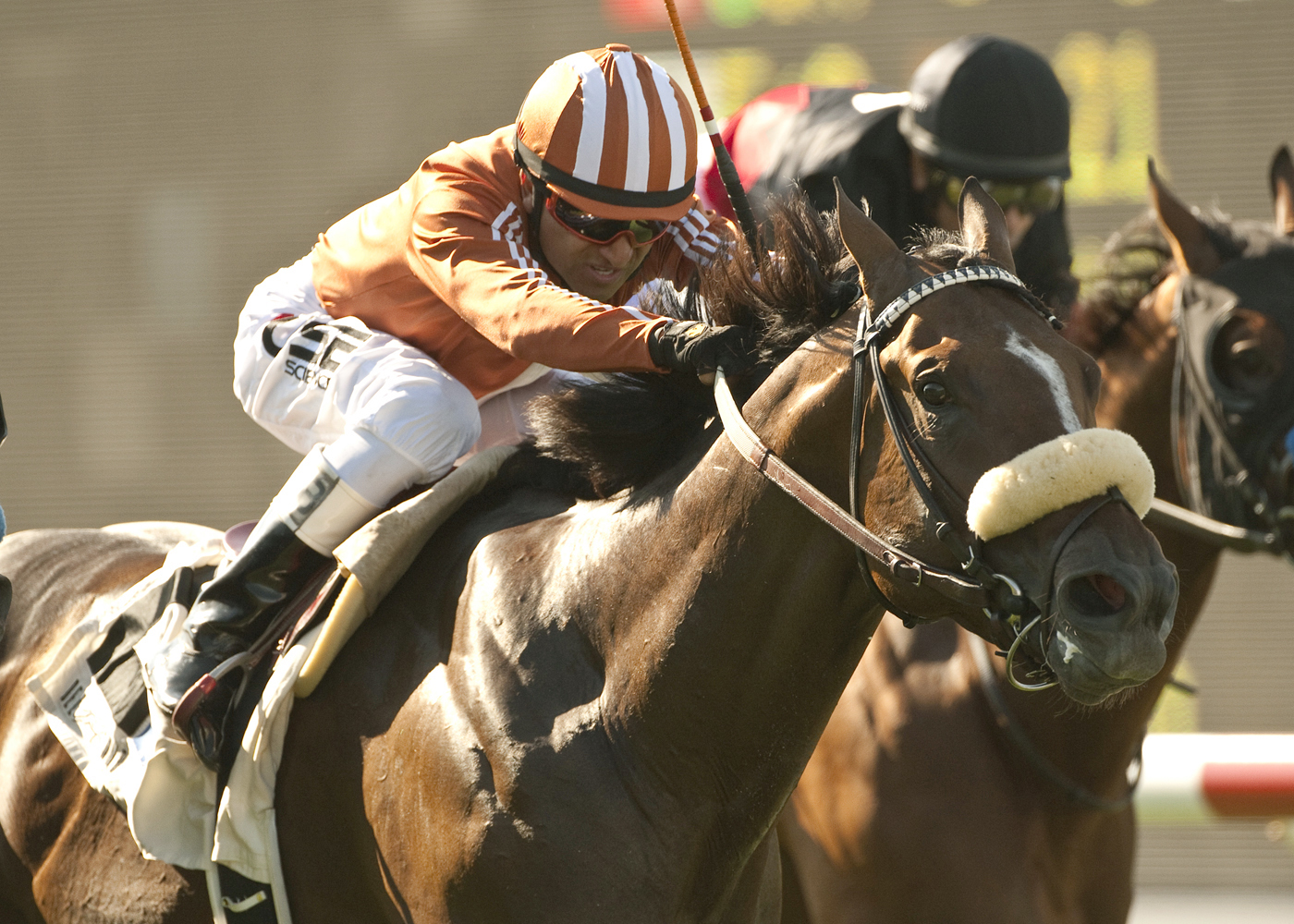Gervinho, Oceanside Stakes