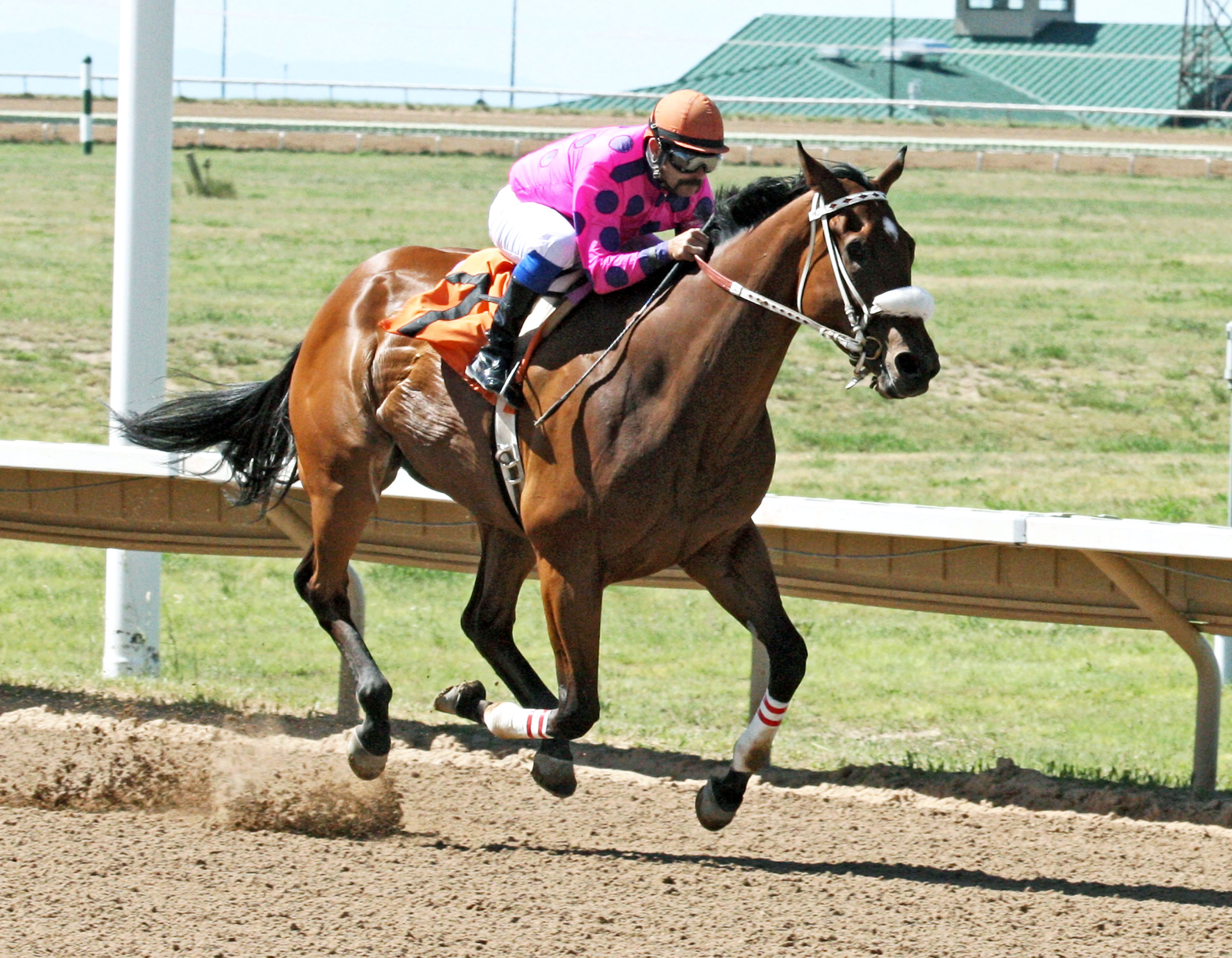 Get Happy Mister wins the Front Range Stakes