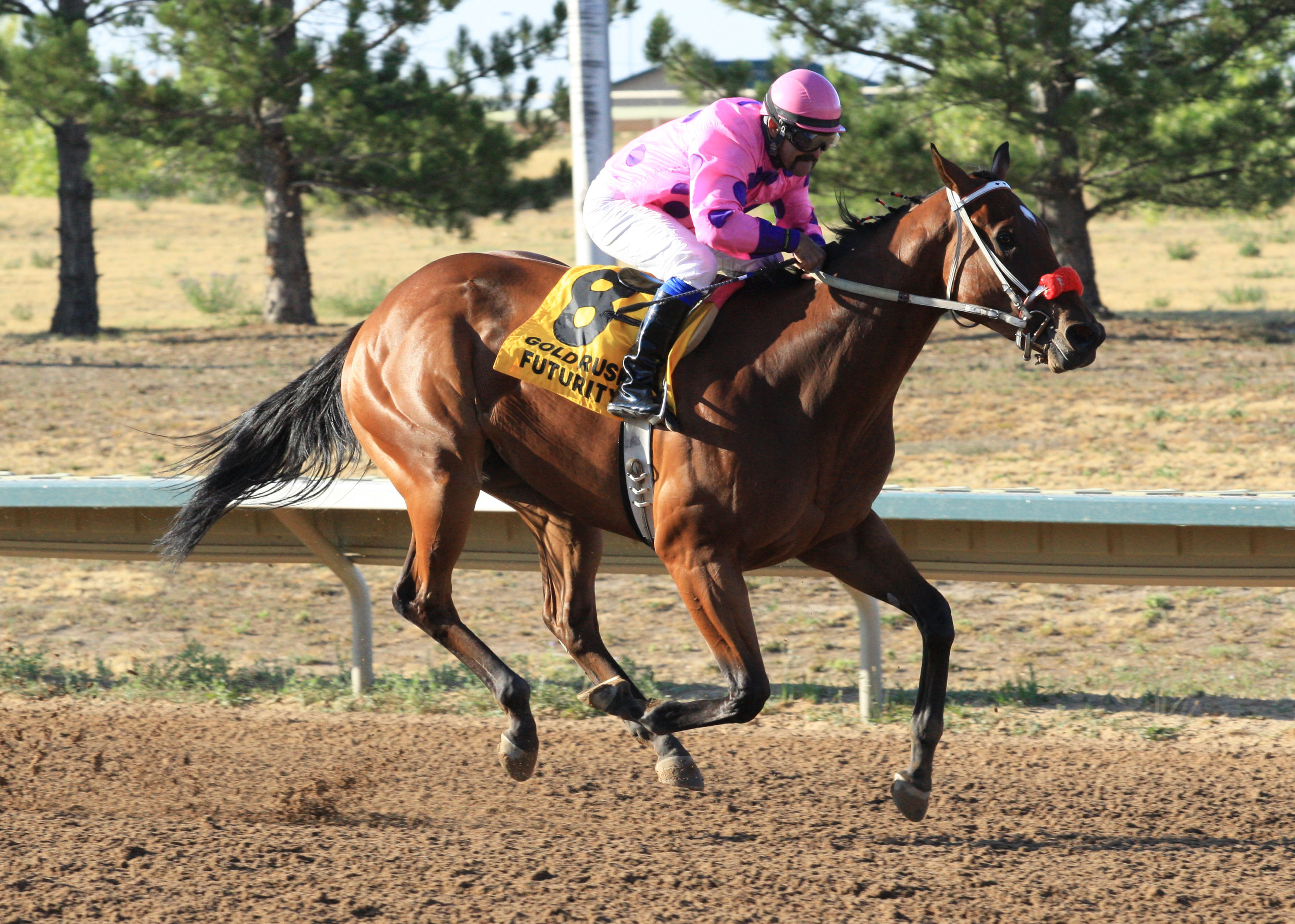 Get Happy Mister, Gold Rush Futurity