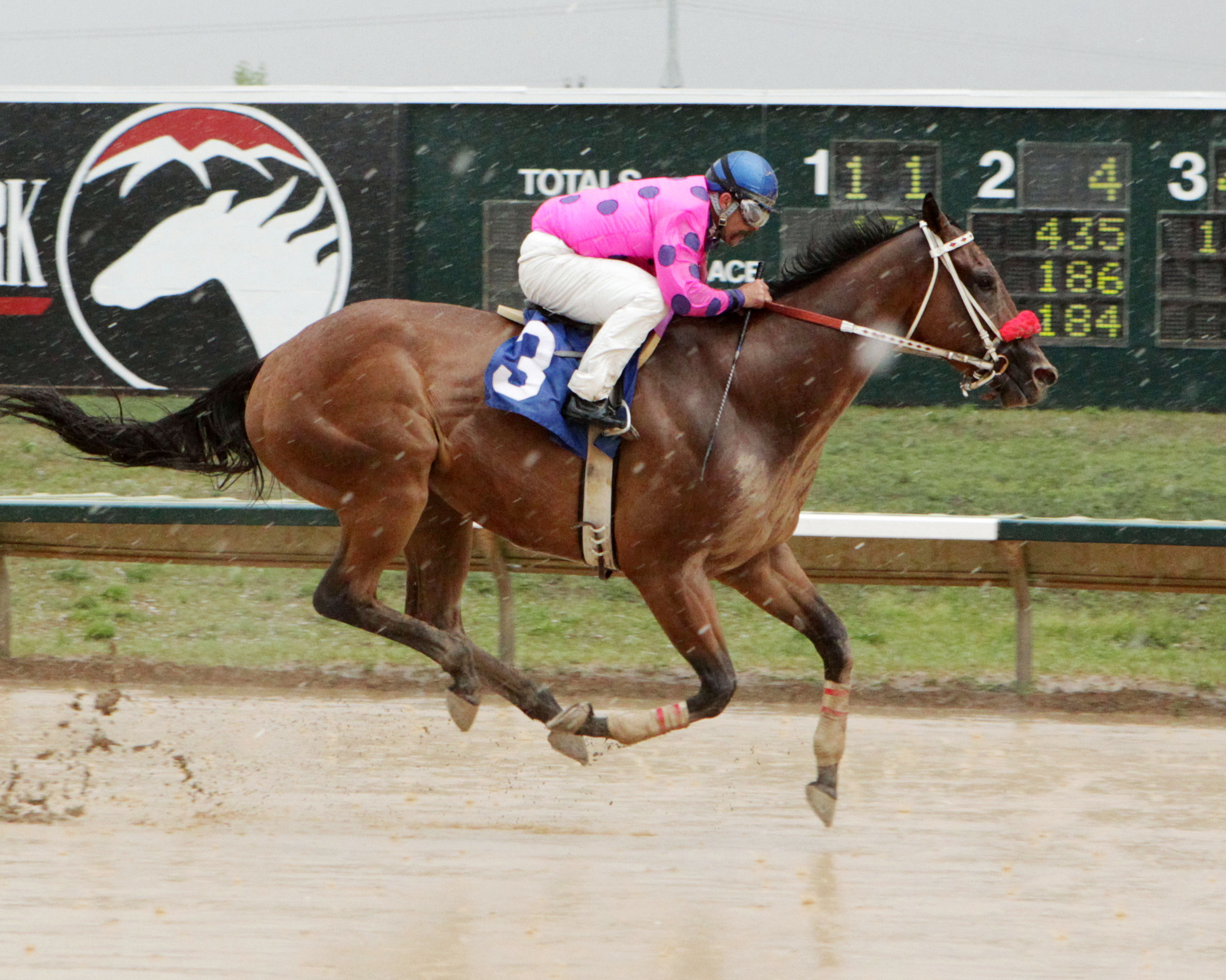 Get Happy Mister wins the Aspen Stakes