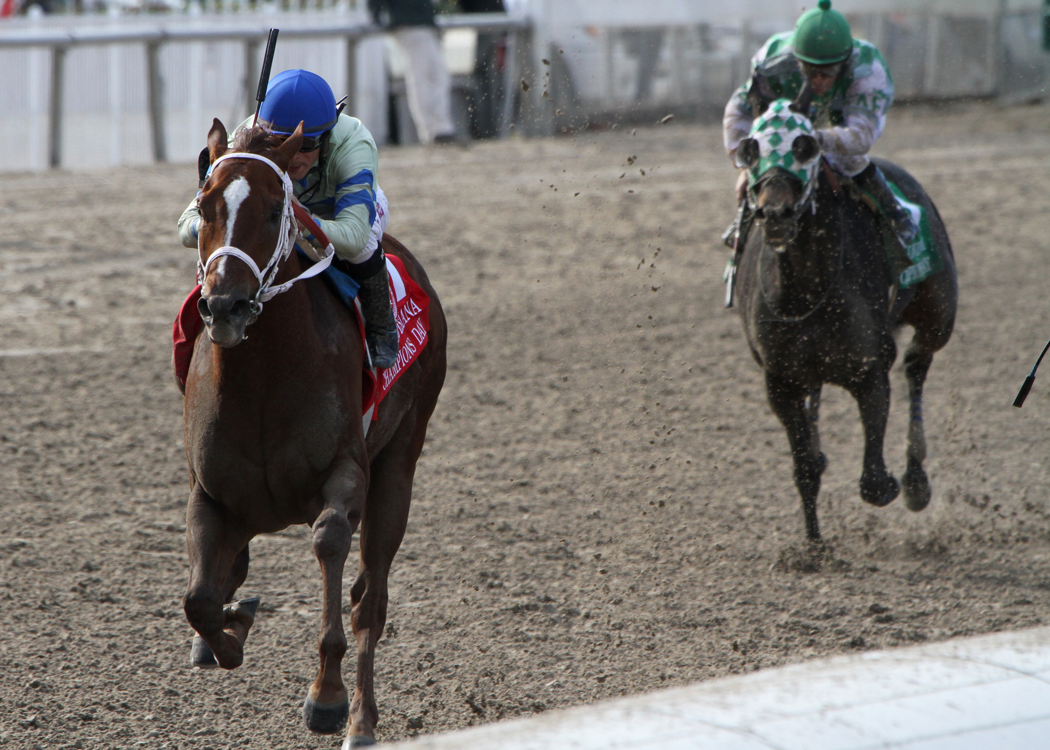 Get in Da House, 2011 Louisiana Champions Day Handicap