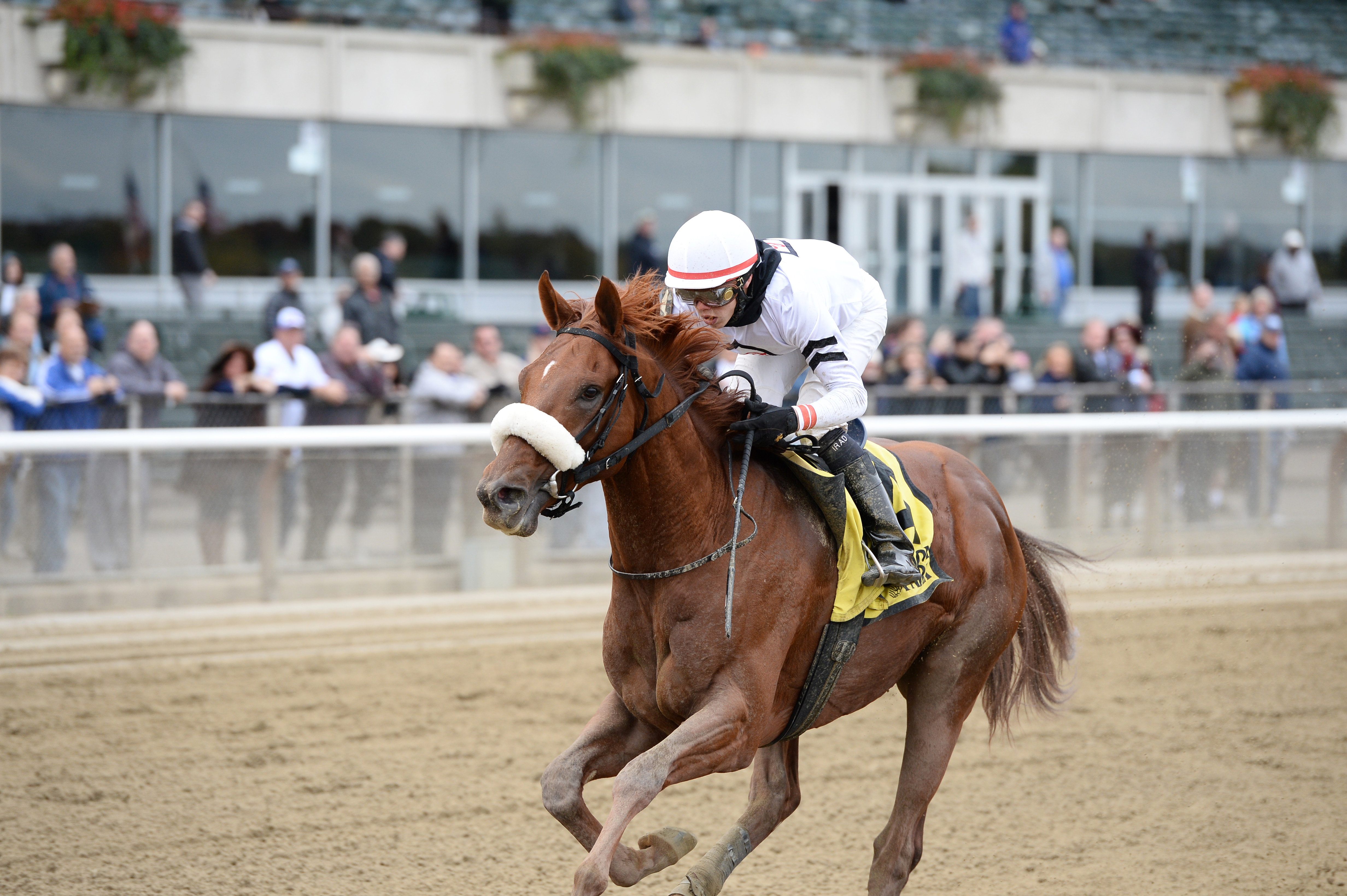 Get Jets wins the Sleepy Hollow