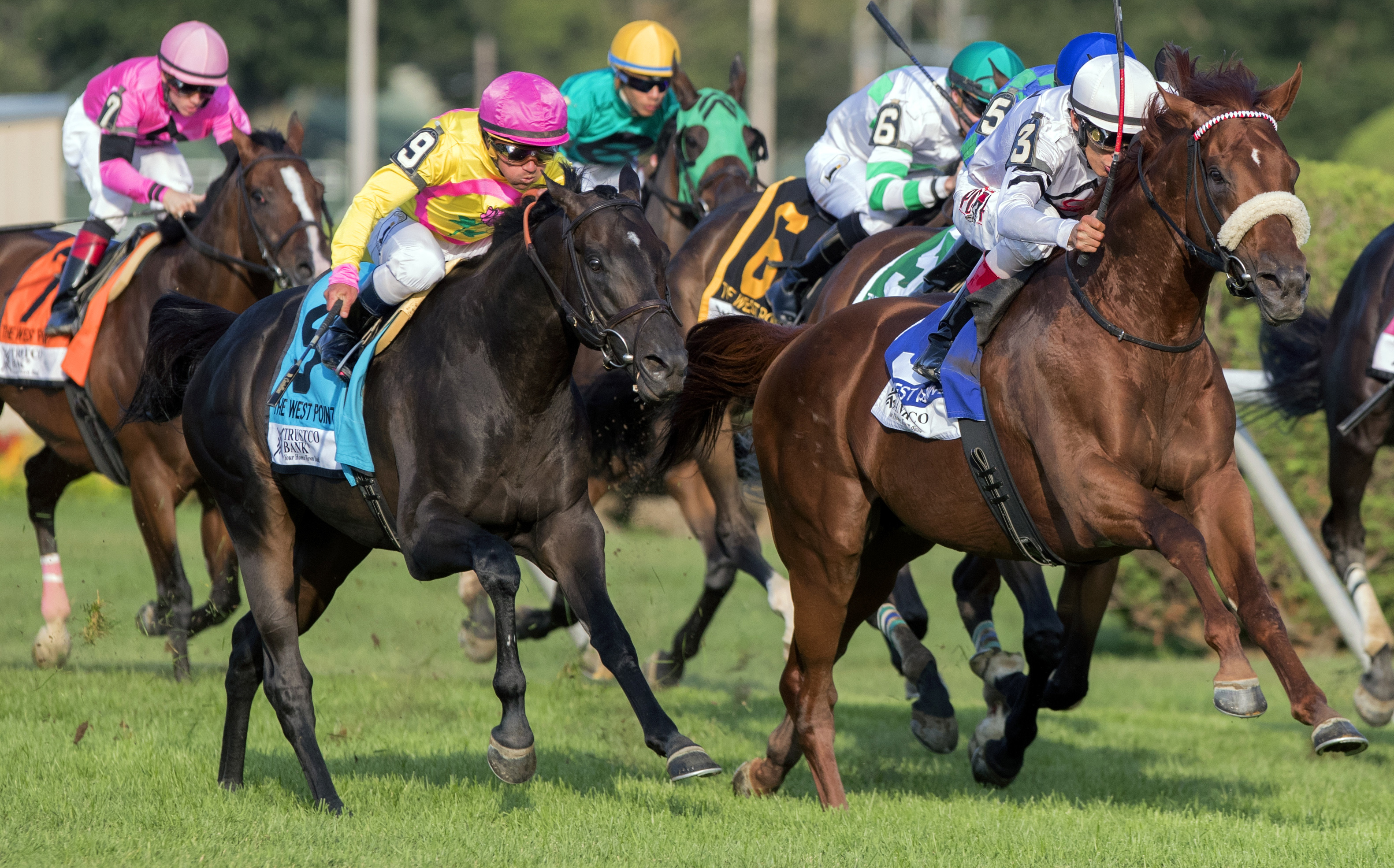 Offering Plan finishes second in the West Point Stakes