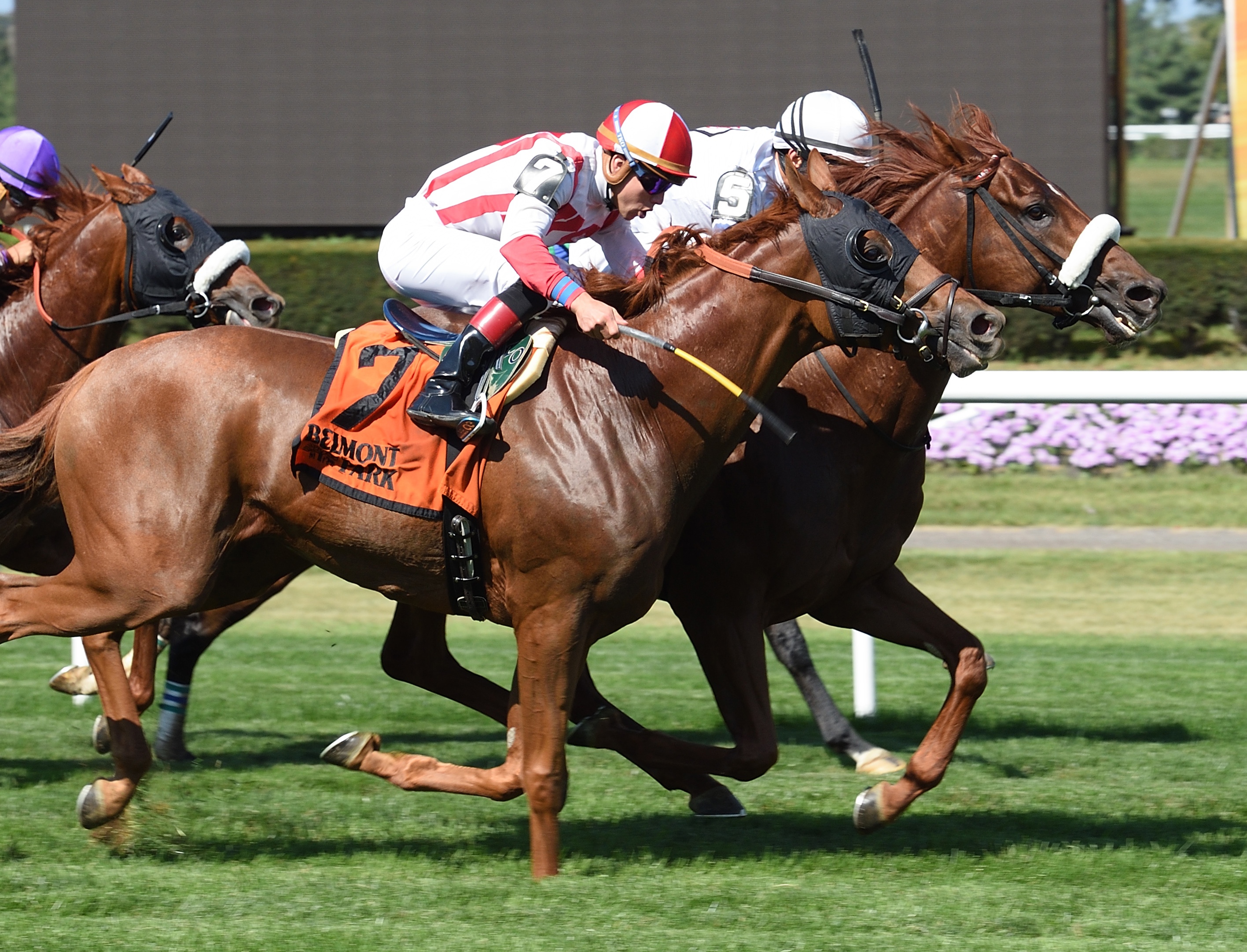 Call Provision finishes second in the 2017 Ashley T. Cole Stakes