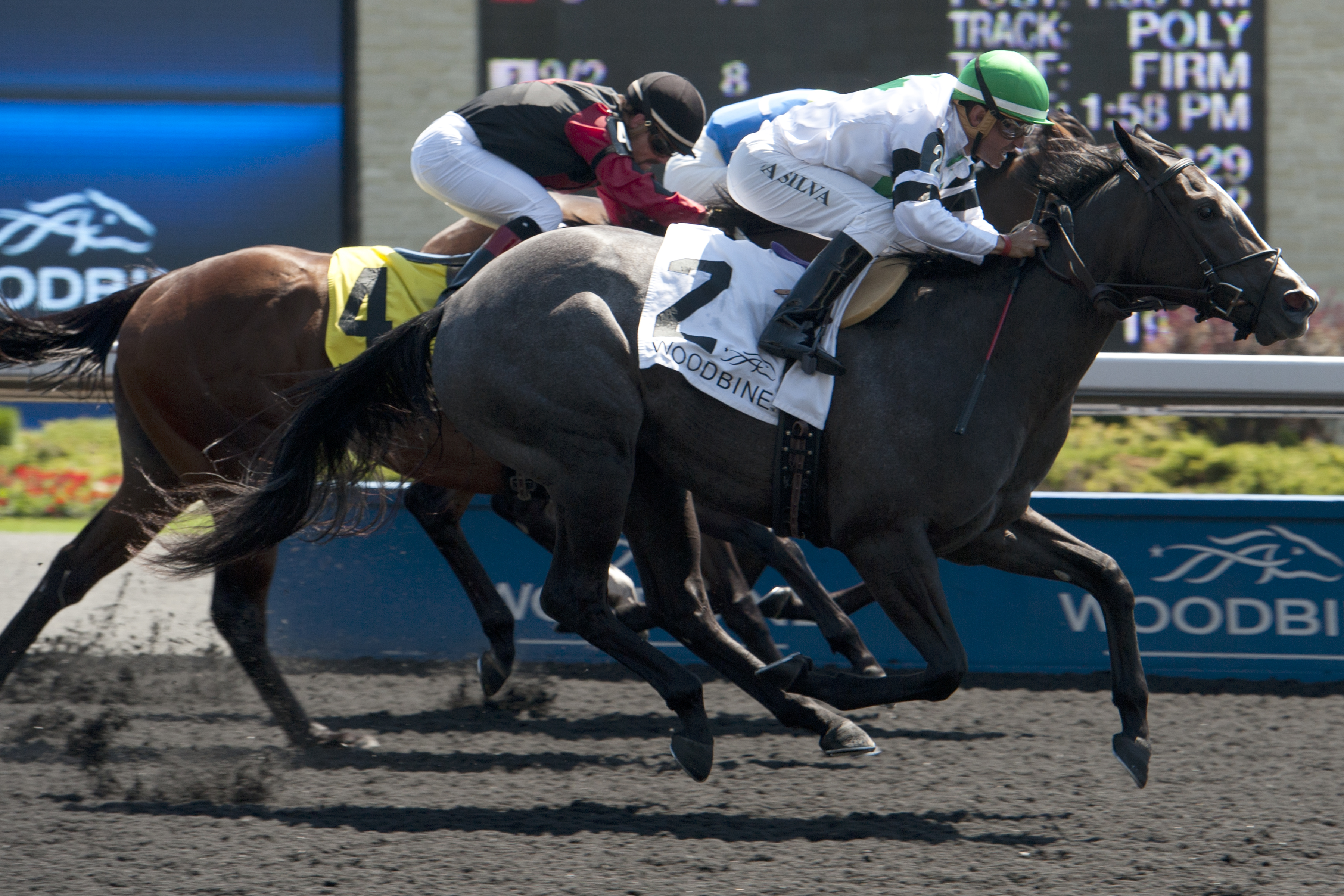 Get Rhythm wins 2015 Ontario Debutante