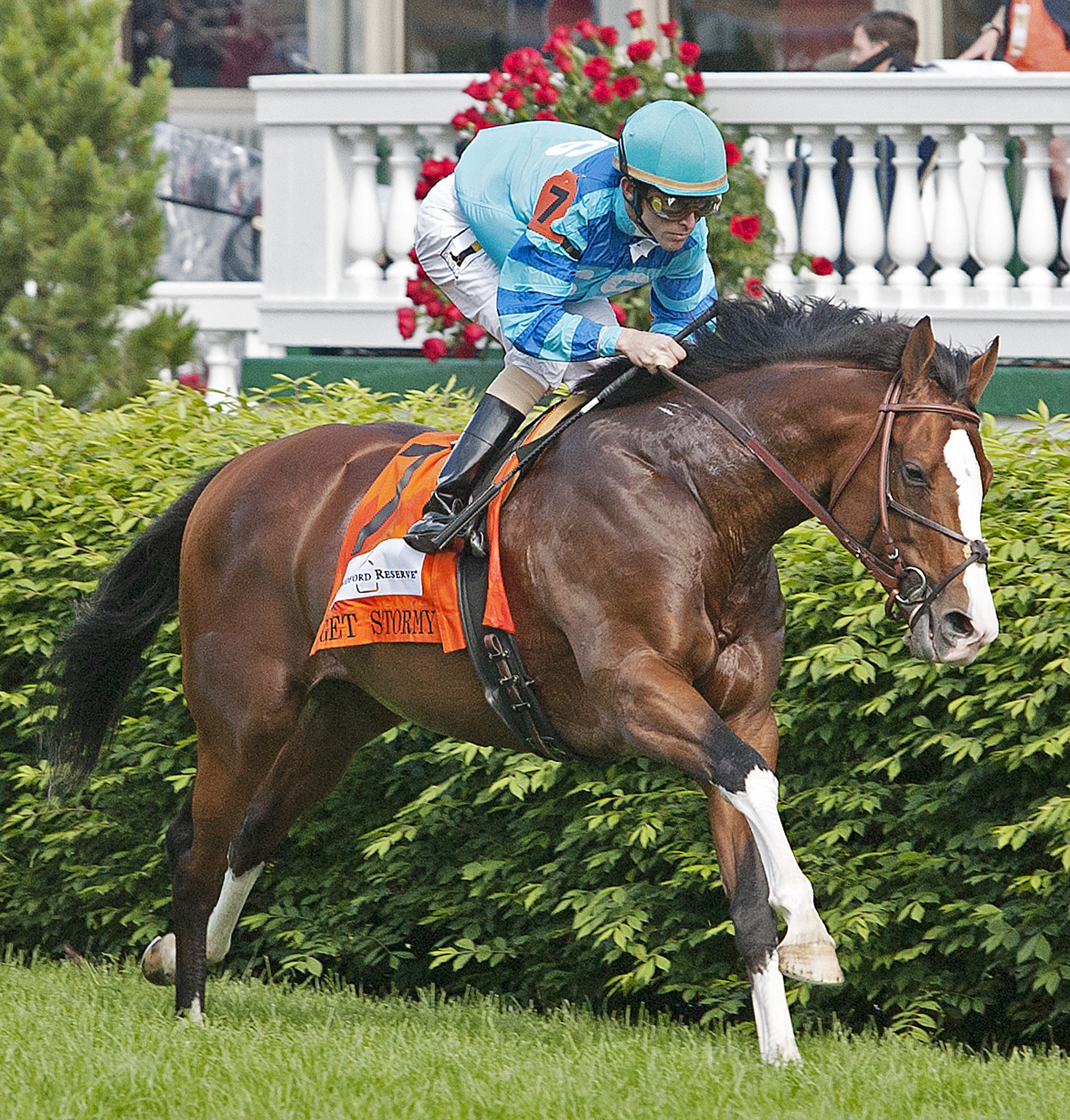 Get Stormy/Turf Classic