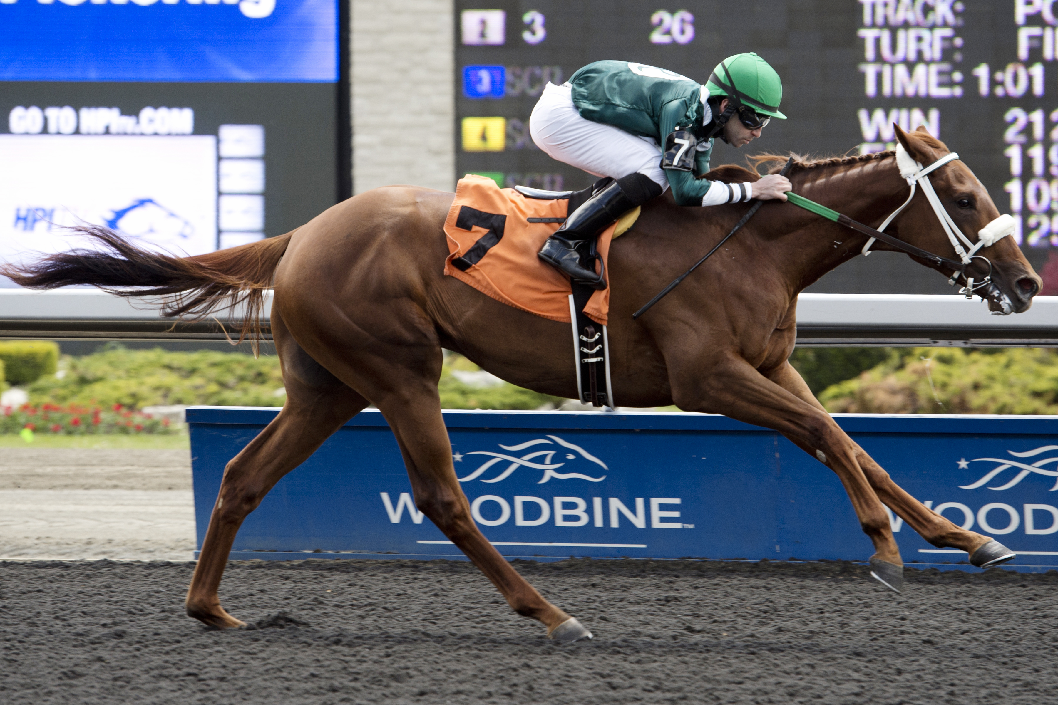 Conquest Daddyo has potential in Vandal