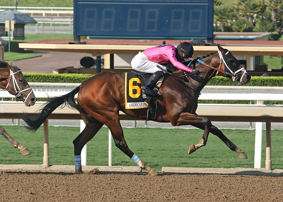 Get Her Number wins the 2020 American Pharoah Stakes at Santa Anita Park