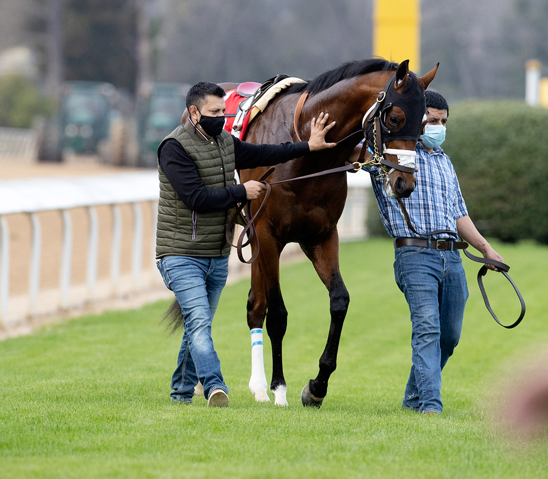 Get Her Number at the 2021 Rebel Stakes at Oaklawn Park