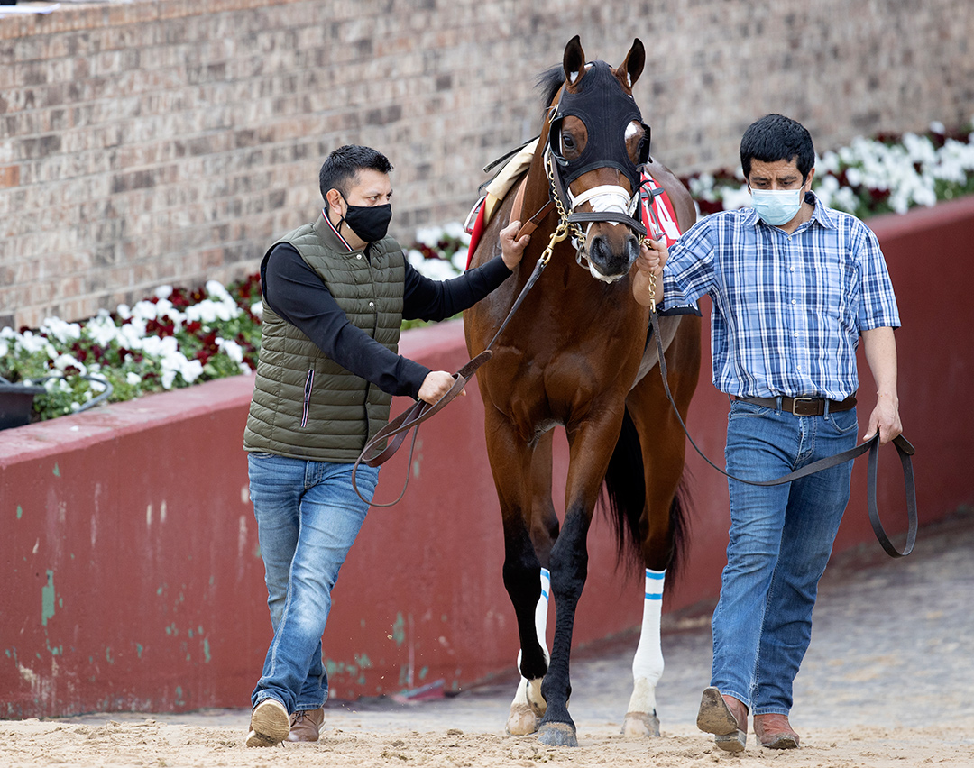 Get Her Number at the 2021 Rebel Stakes at Oaklawn Park