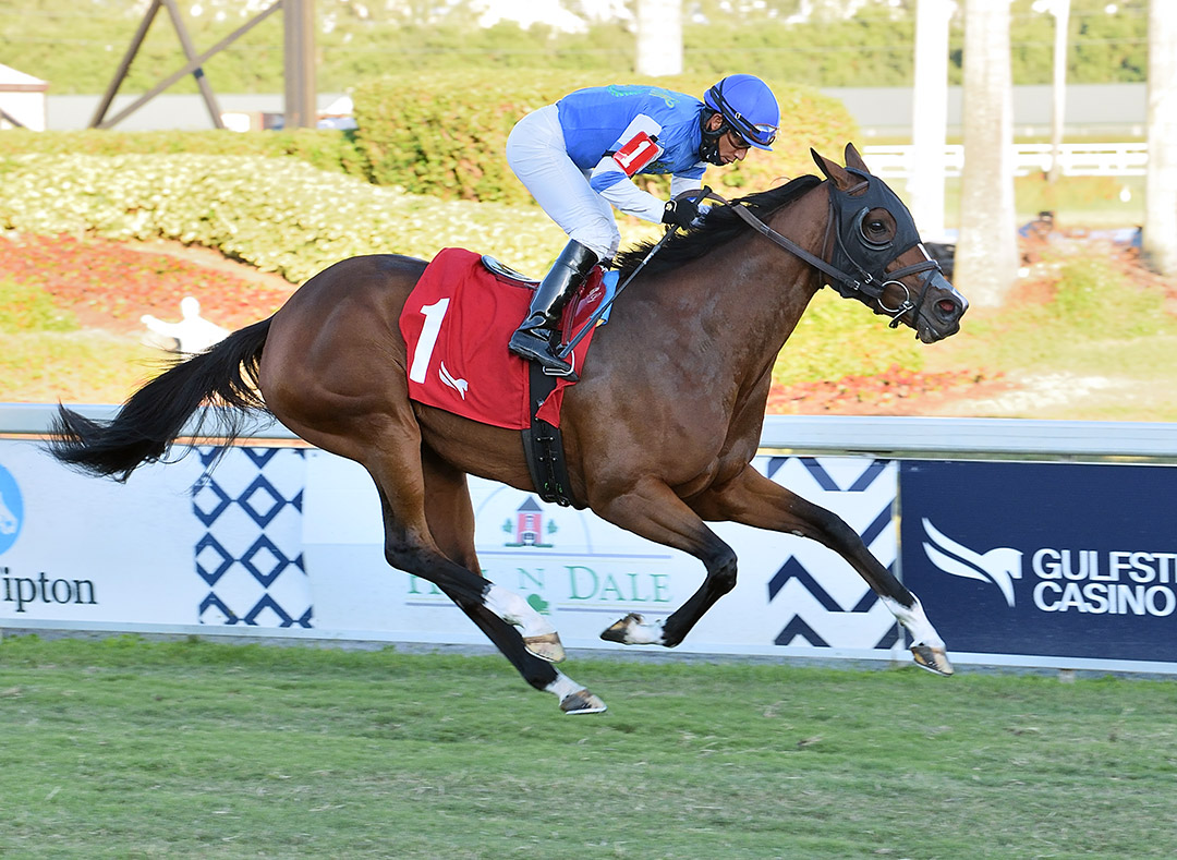 Get Rewarded wins a Dec. 10 allowance at Gulfstream Park