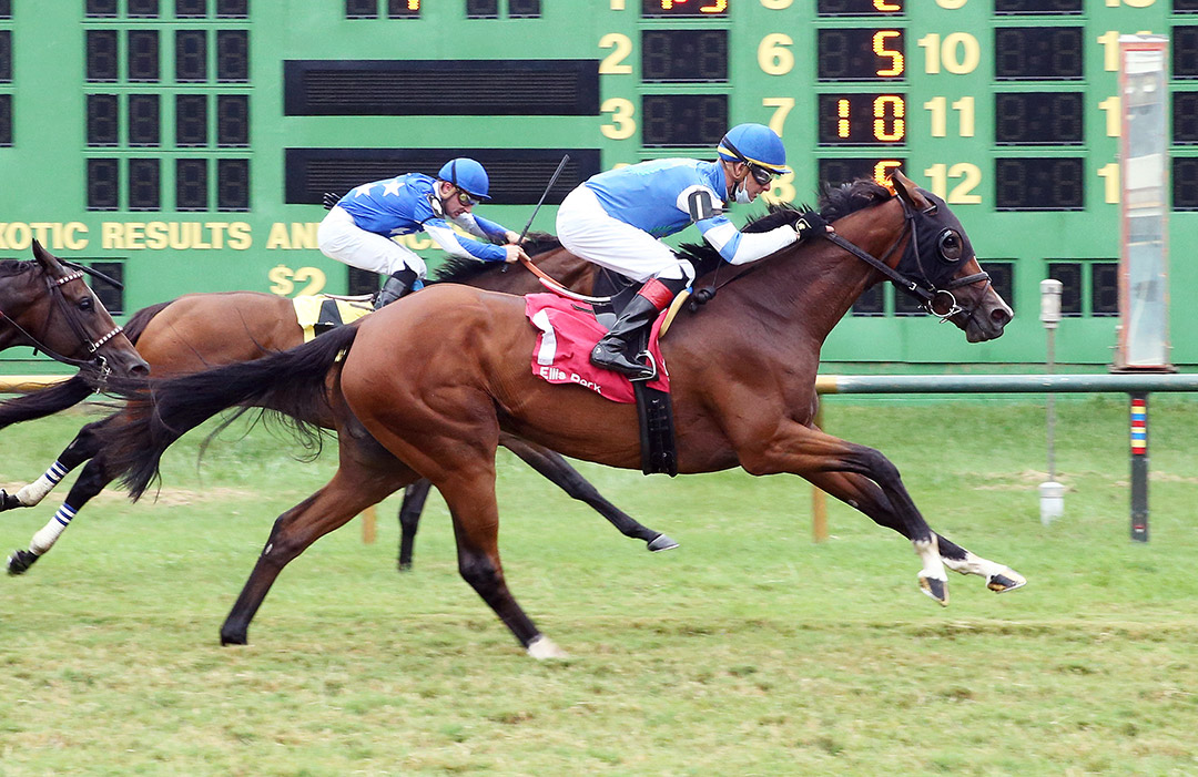 Get Rewarded wins an Aug. 28 allowance at Ellis Park