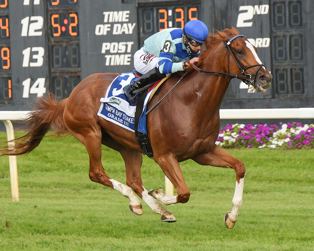 Get Smokin wins the 2021 Tampa Bay Stakes at Tampa Bay Downs