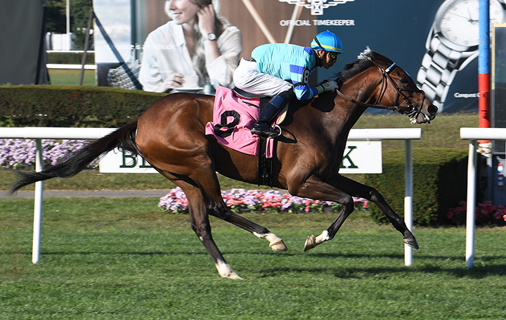 Getmotherarose wins a Sept. 20 allowance at Belmont Park