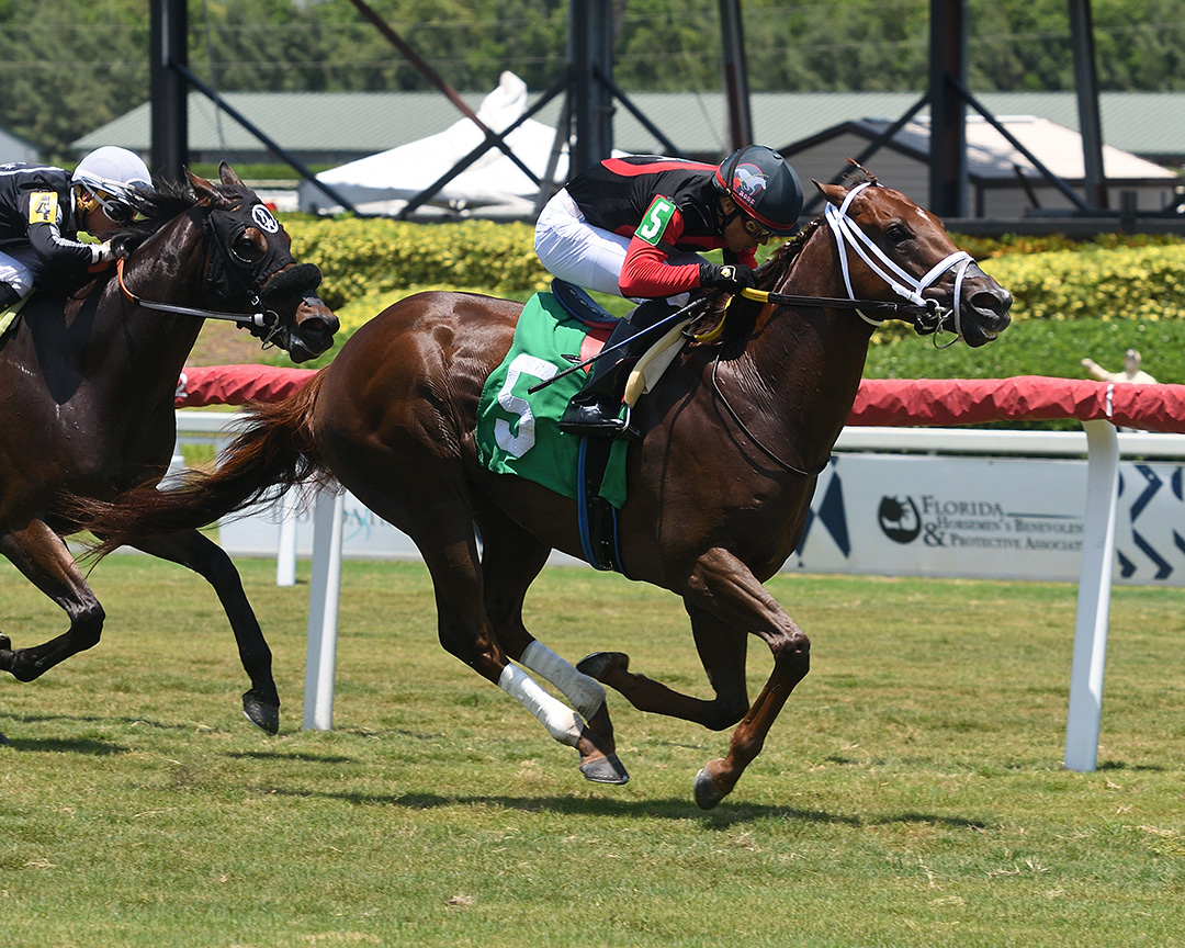 Getthe Muny Bernie wins a July 15 maiden race at Gulfstream Park