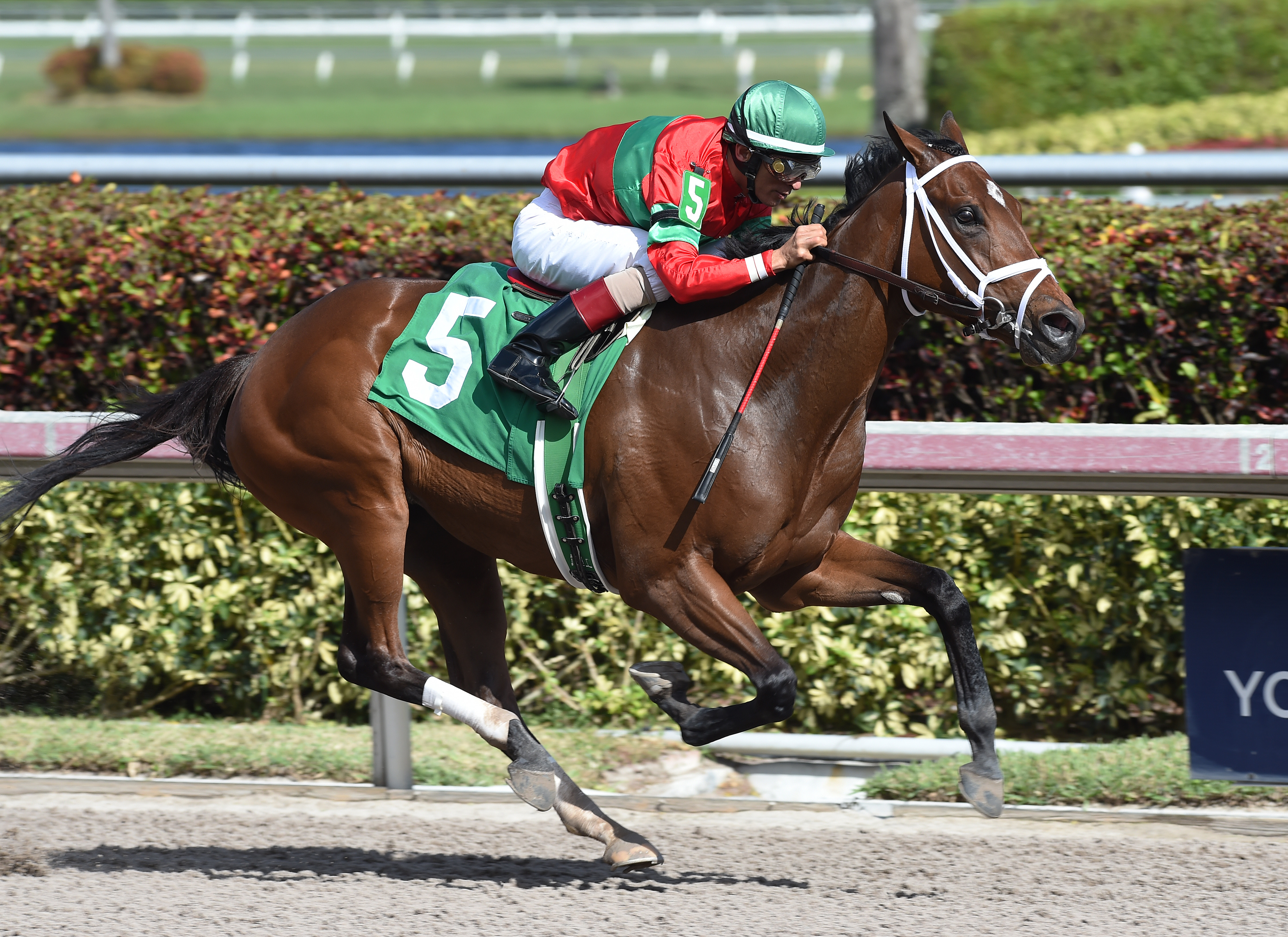 Ghalia wins a maiden race