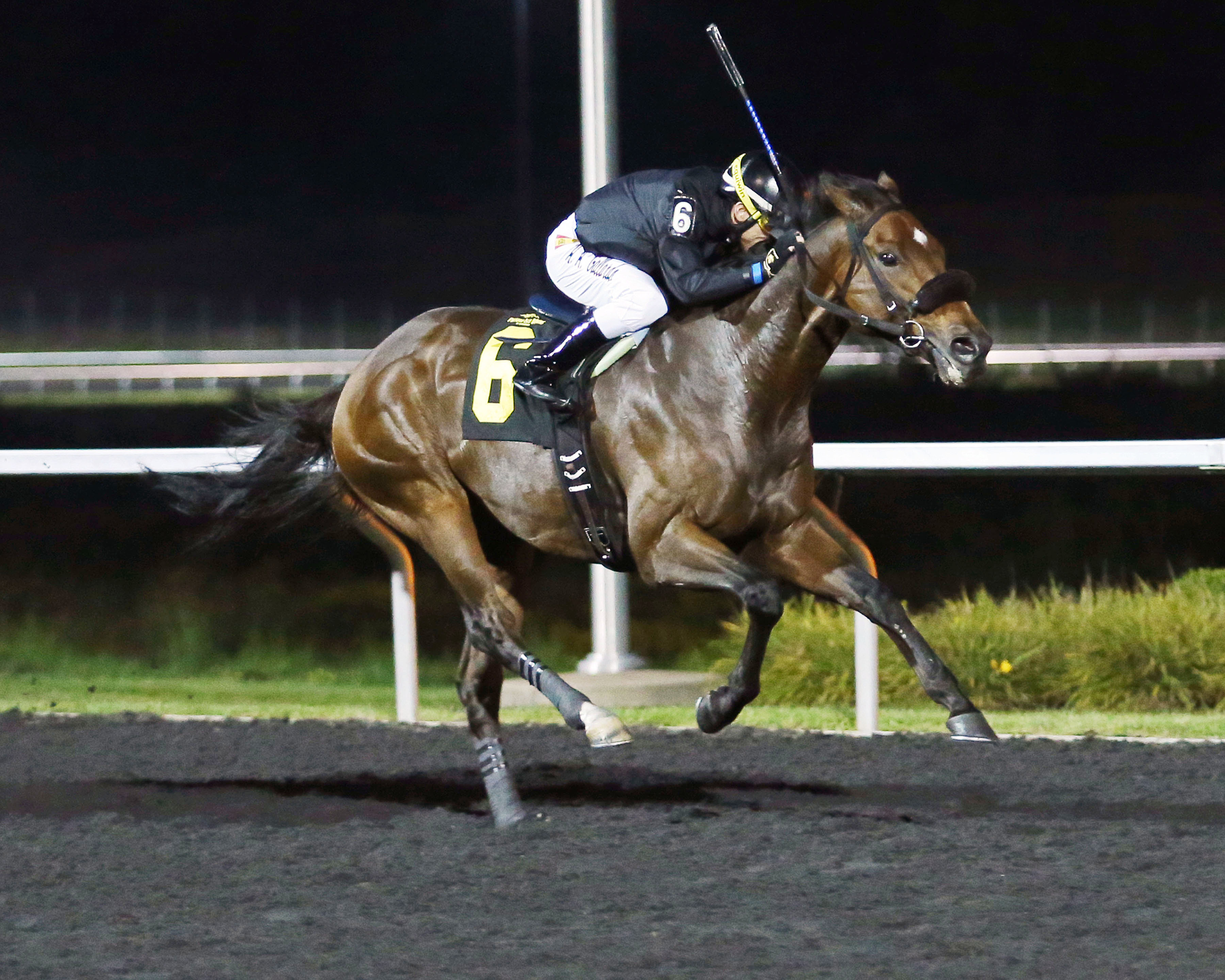 Ghost Hunter wins the 2016 Presque Isle Mile