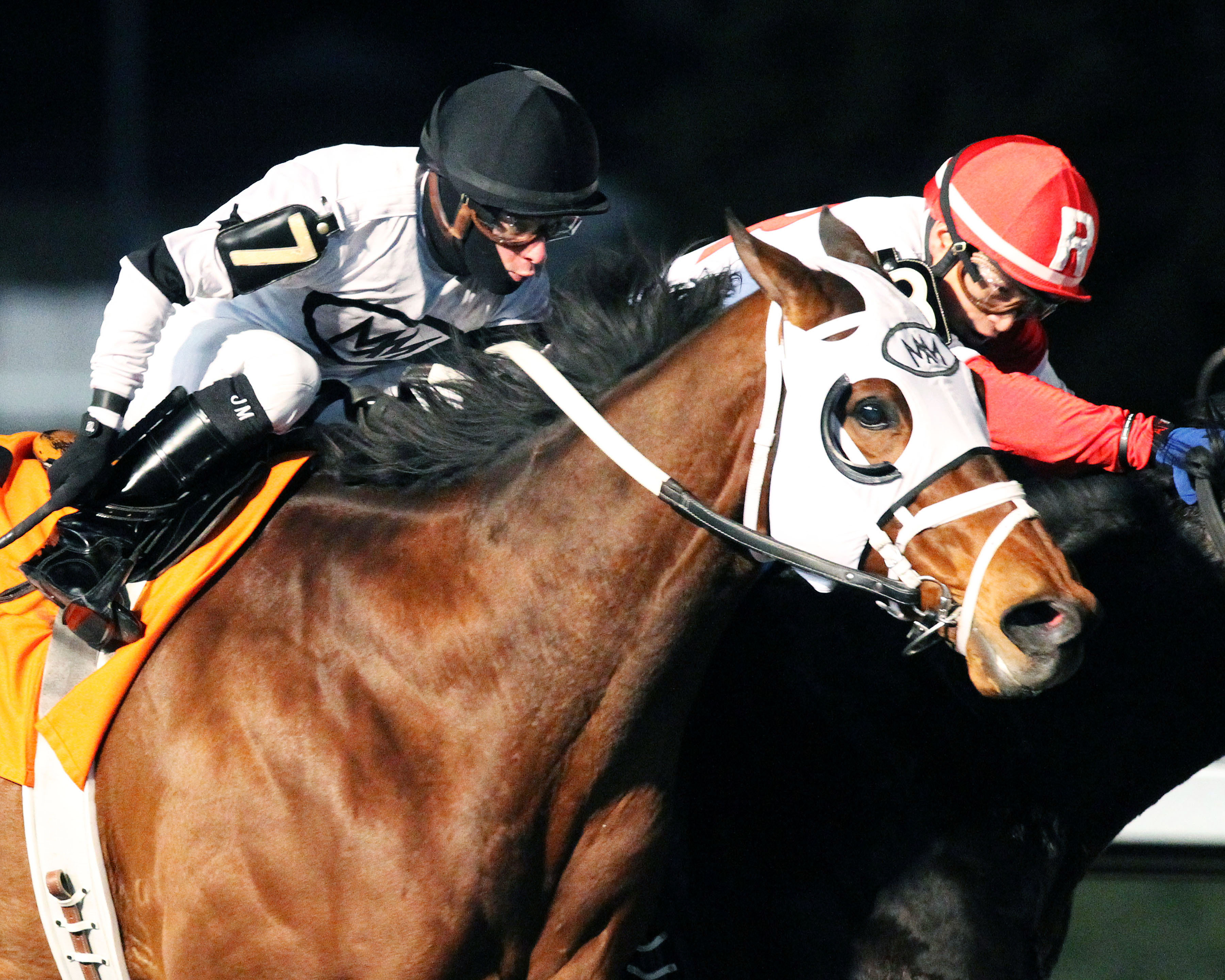 Ghost Is Clear wins the Forego